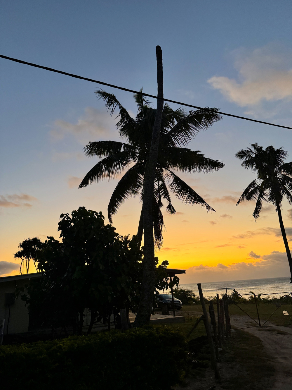 Palm trees silhouetted against a vibrant sunset sky with a few clouds, seen near a coastal area.