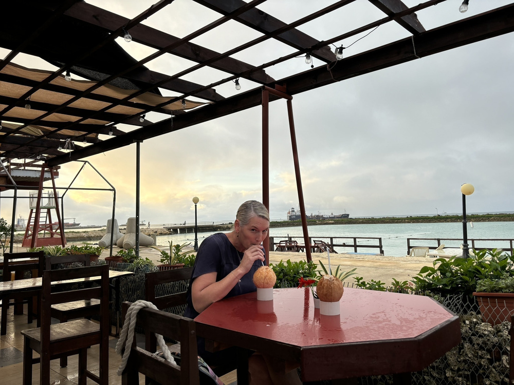 A person is sitting at an outdoor table with two coconuts, drinking from one while overlooking a waterfront.