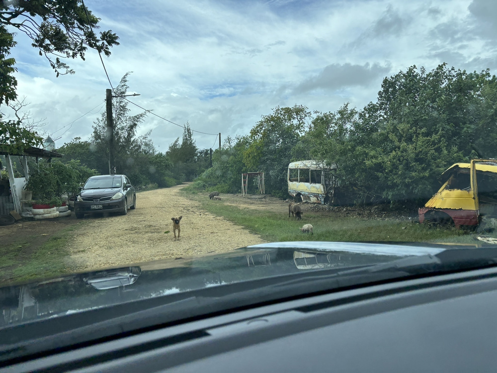 A rural scene shows a dirt road with dogs, parked cars, and an old bus surrounded by greenery.