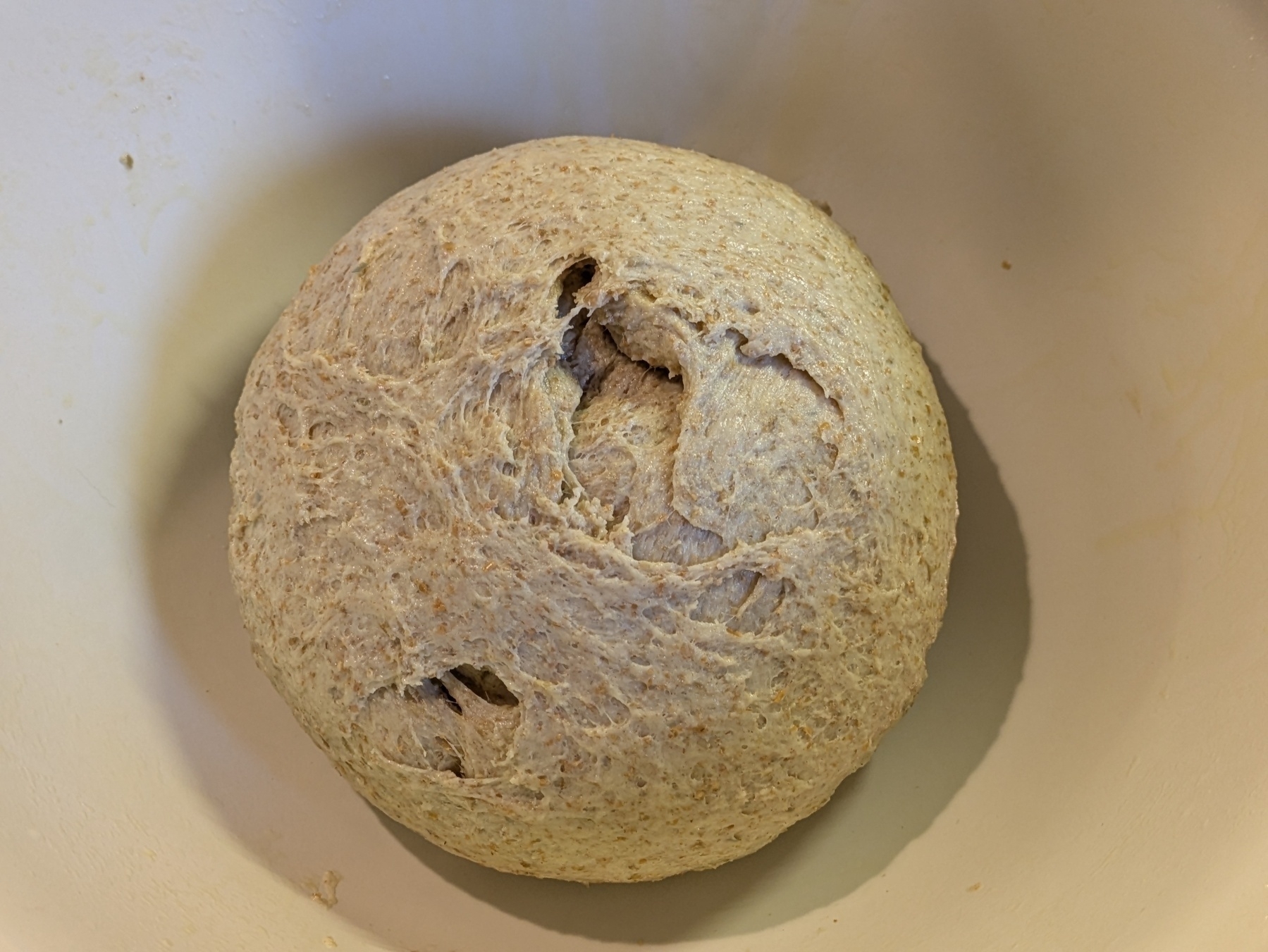 A round ball of dough rests in a mixing bowl, showing some surface cracks.