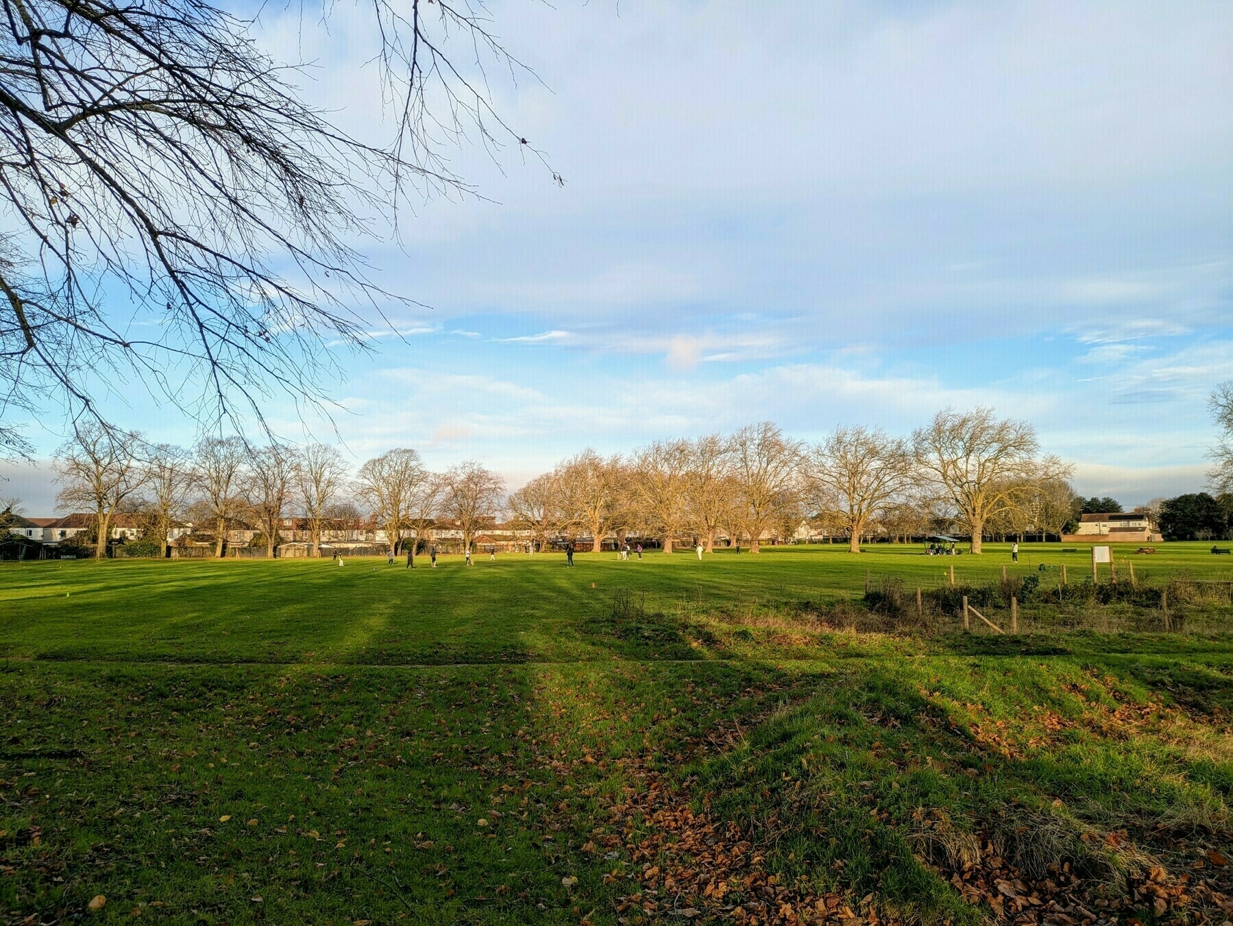 A vast open field with scattered trees under a clear blue sky.