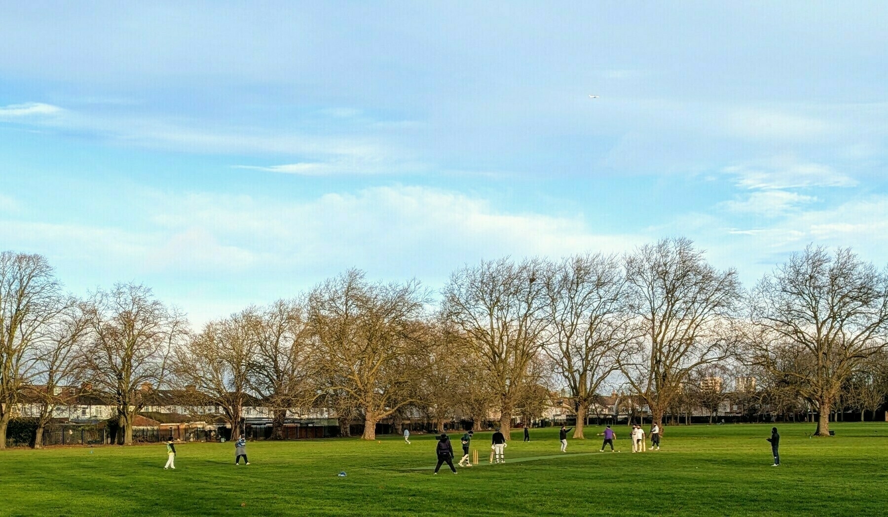 A group of people are playing cricket in a grassy park surrounded by leafless trees under a blue sky.