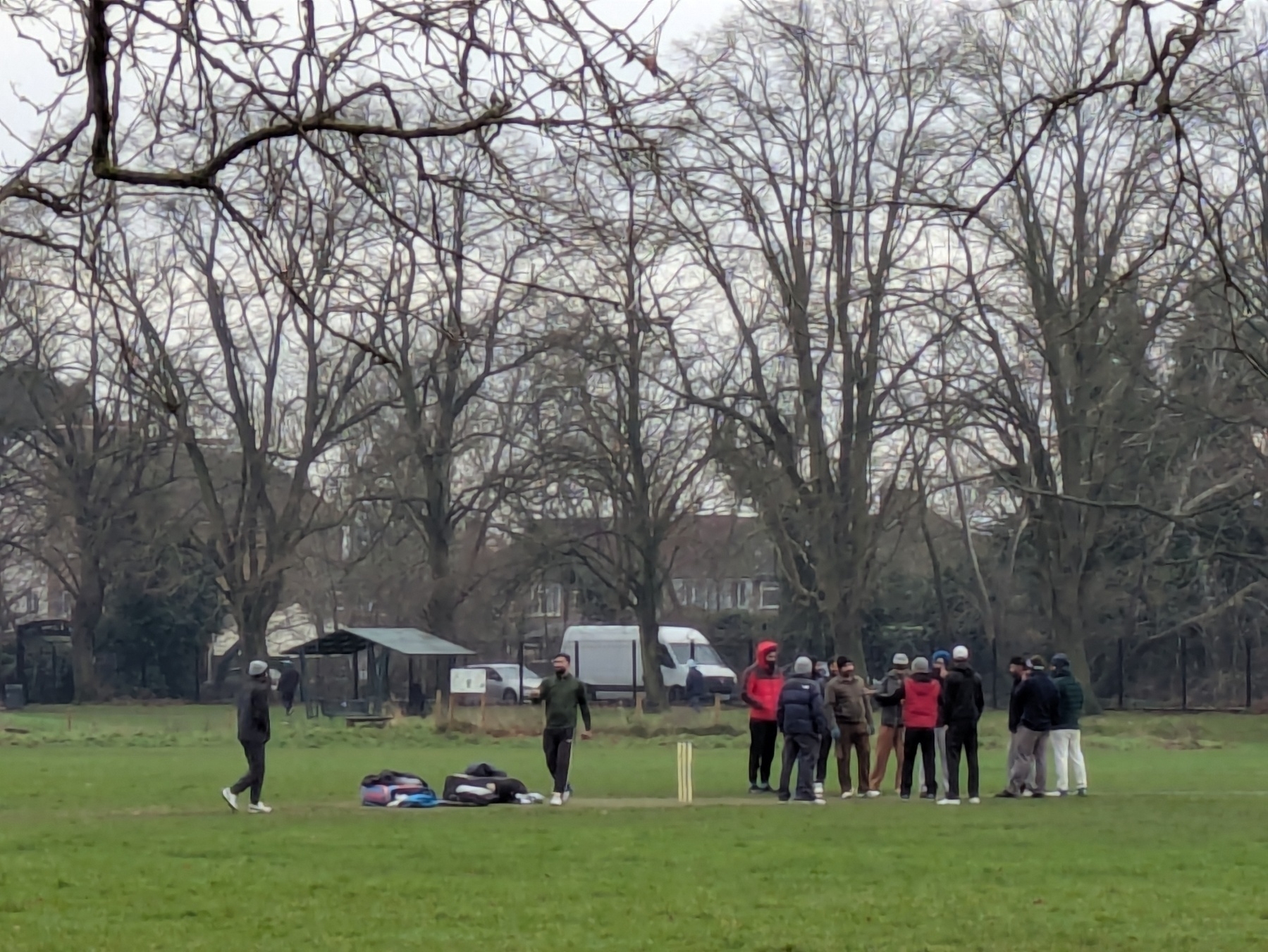 A group of people are playing cricket in a grassy park surrounded by leafless trees.