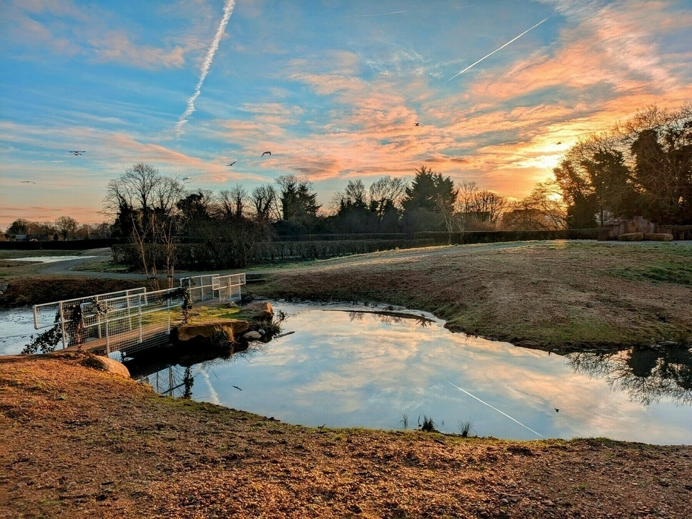 A serene landscape features a small bridge over a reflective pond set against a vibrant sunset sky.