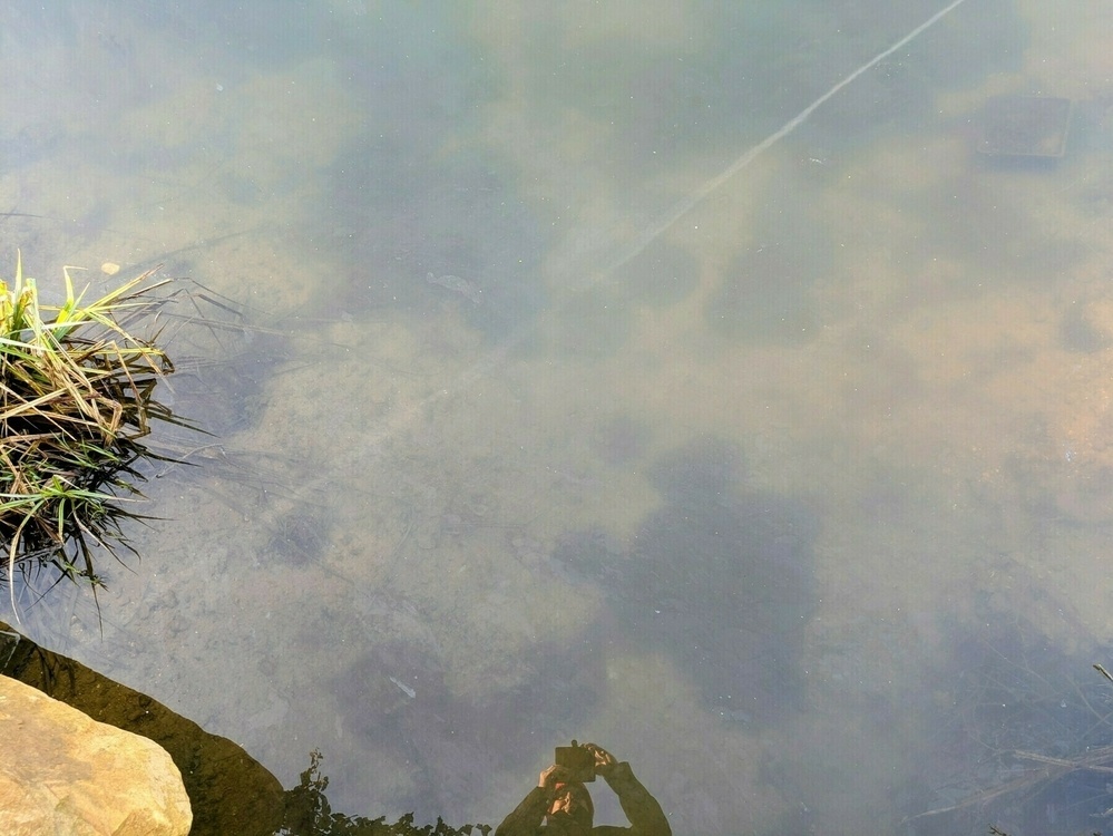 A reflection of a person taking a photo is visible on the surface of a calm, rocky pond.