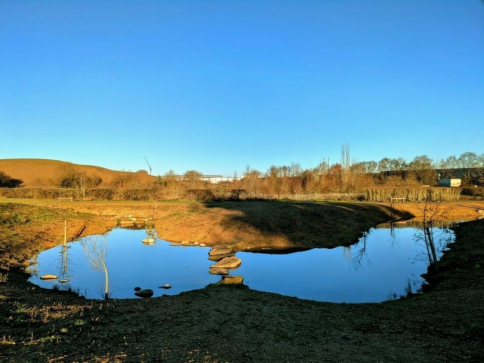 A small pond with stepping stones reflects the clear blue sky, surrounded by a dry, grassy landscape.