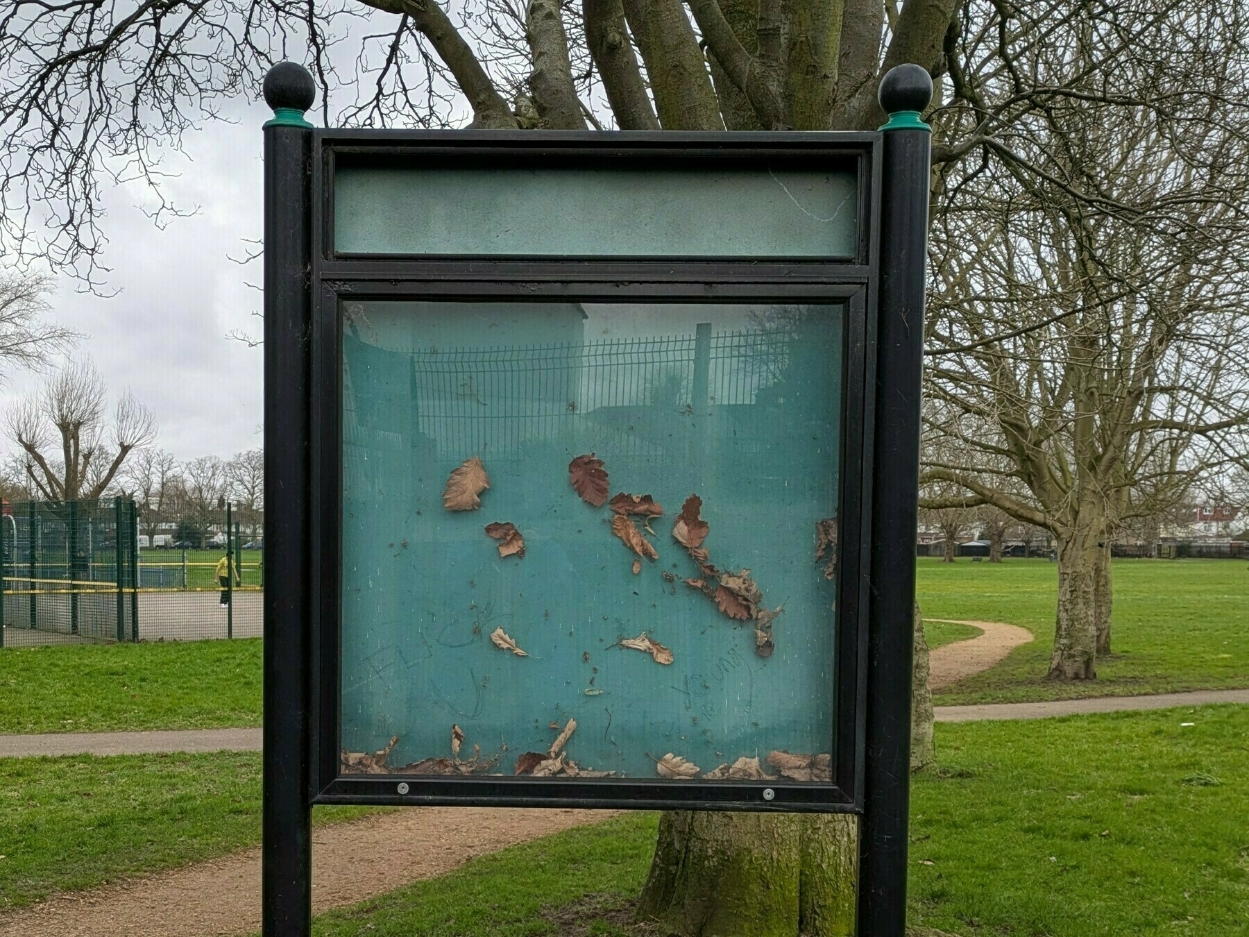 Auto-generated description: A bulletin board in a park is covered with leaves inside its glass display.