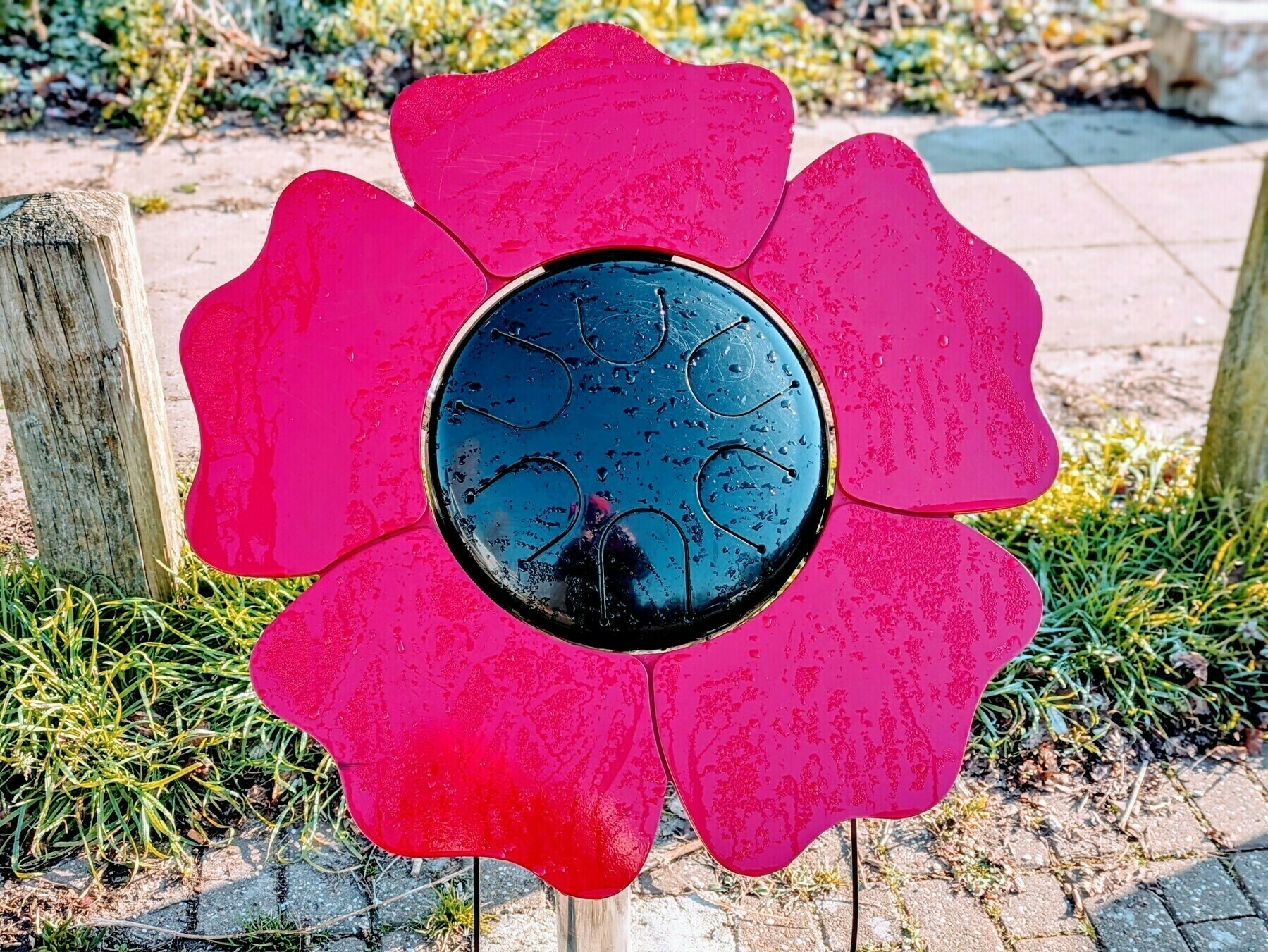 A red flower-shaped sign with a black center reflecting the image of the photographer wearing a red hat against a backdrop of grass and a paved walkway. 