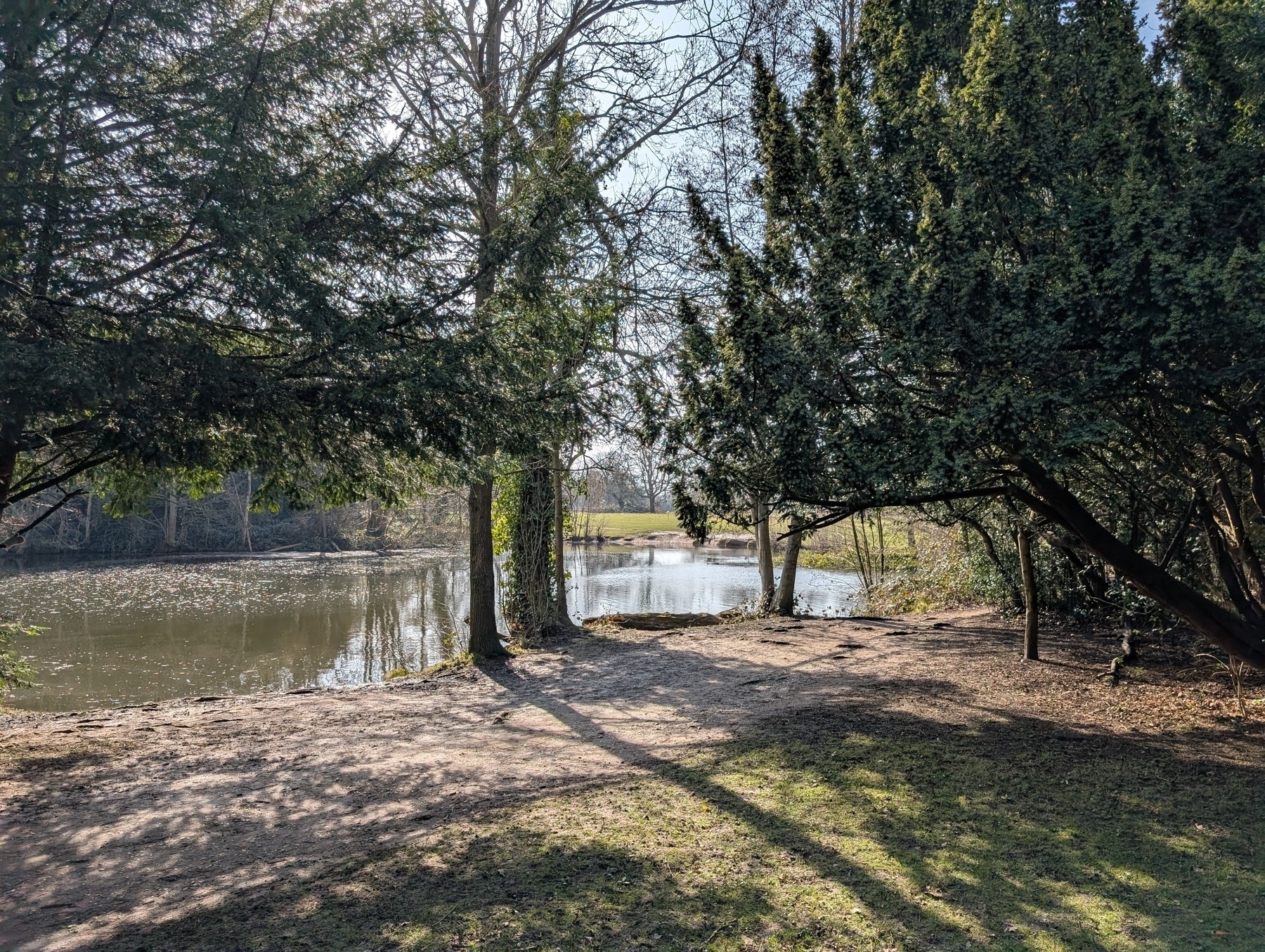 Auto-generated description: A tranquil lakeside scene with trees casting shadows on the ground under a clear sky.