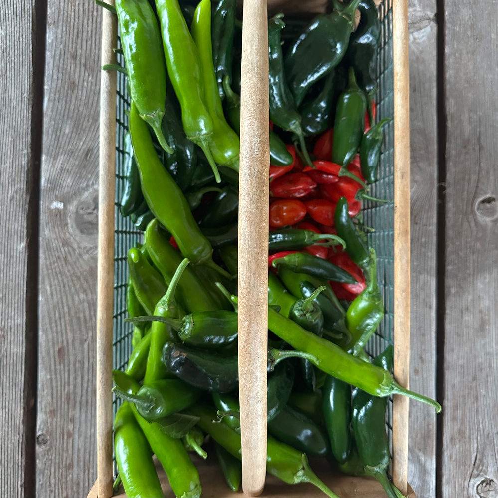A basket filled with various types of fresh green and red chili peppers placed on a wooden surface.