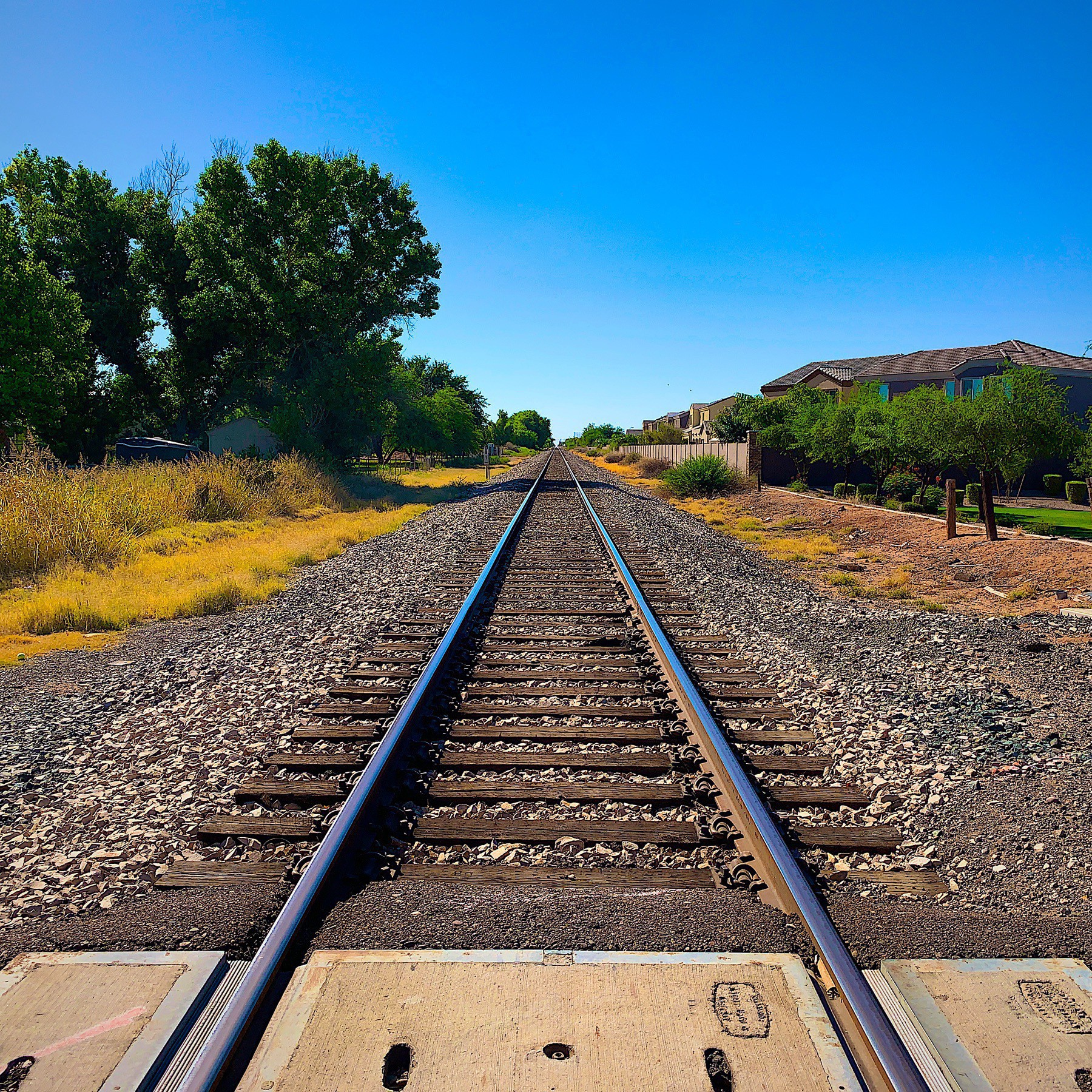 train tracks converging in the distance