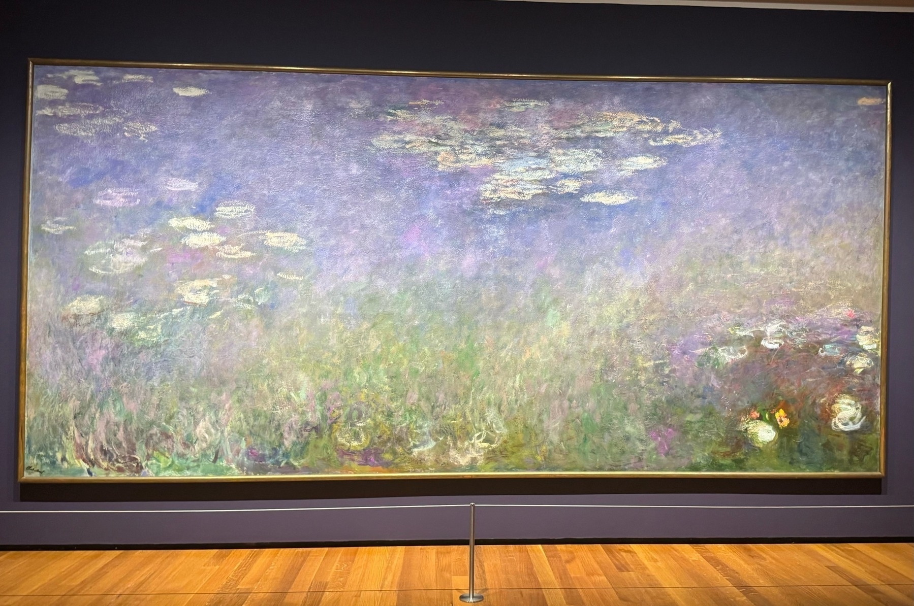 Monet's Water Lillies (Agapanthus) on the wall at the Cleveland Museum of Art