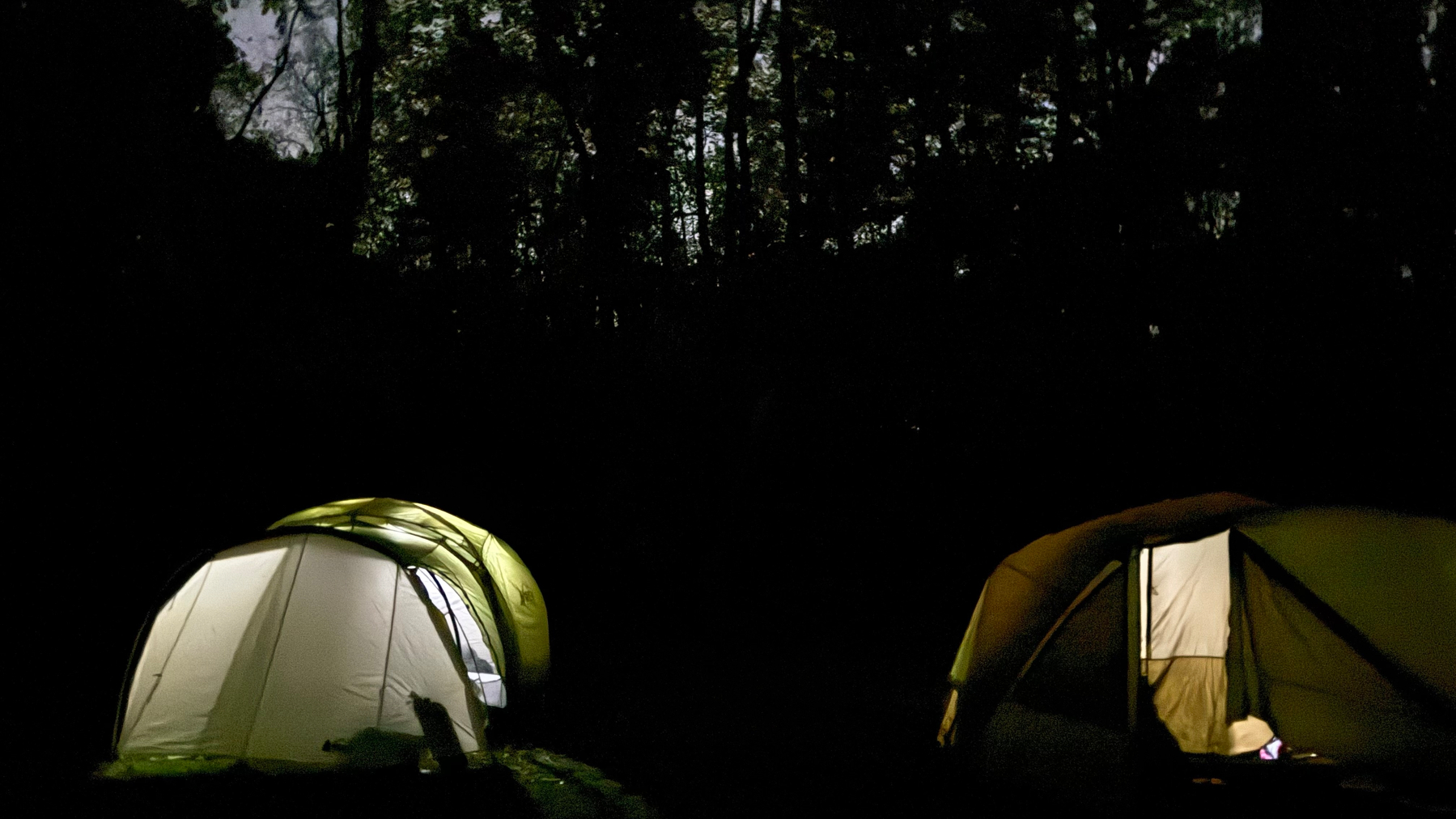 Two tents are illuminated in a dark forest at night.&10;
