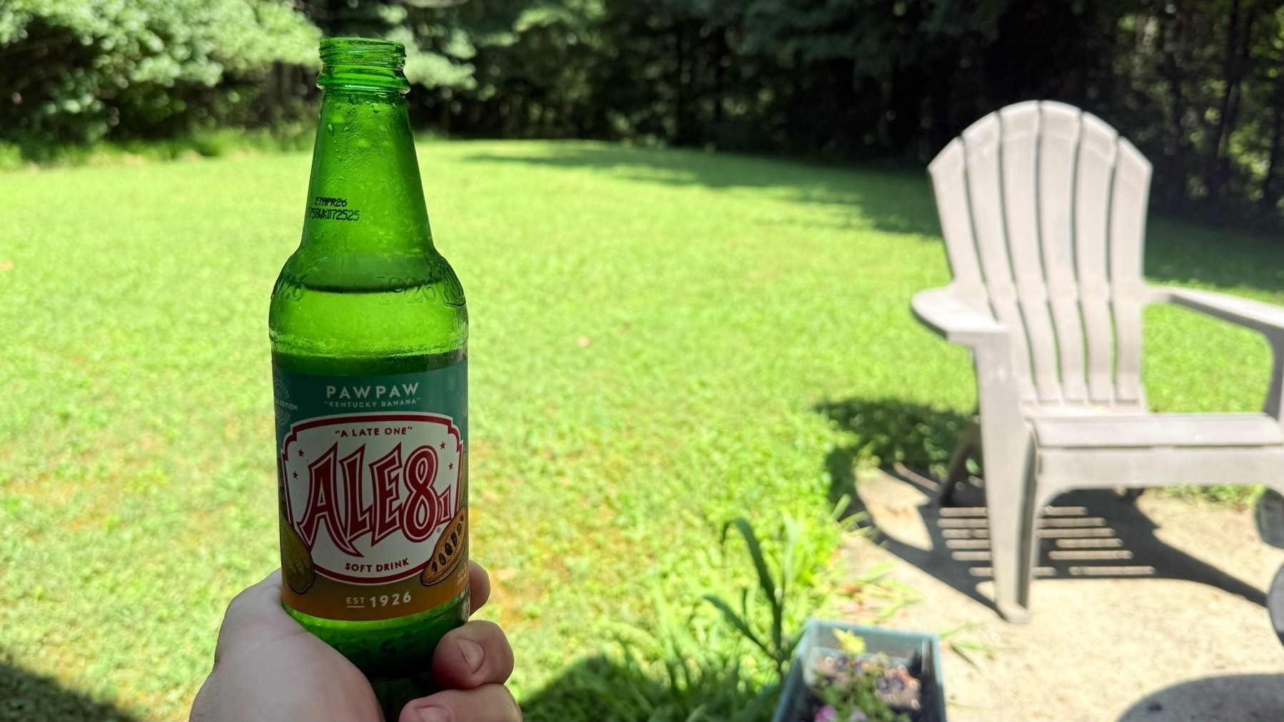A bottle of limited edition Pawpaw flavored Ale81, a ginger soda from Kentucky. 