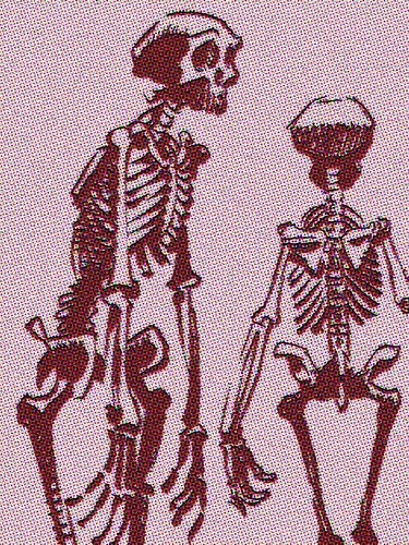sad pink skeletons