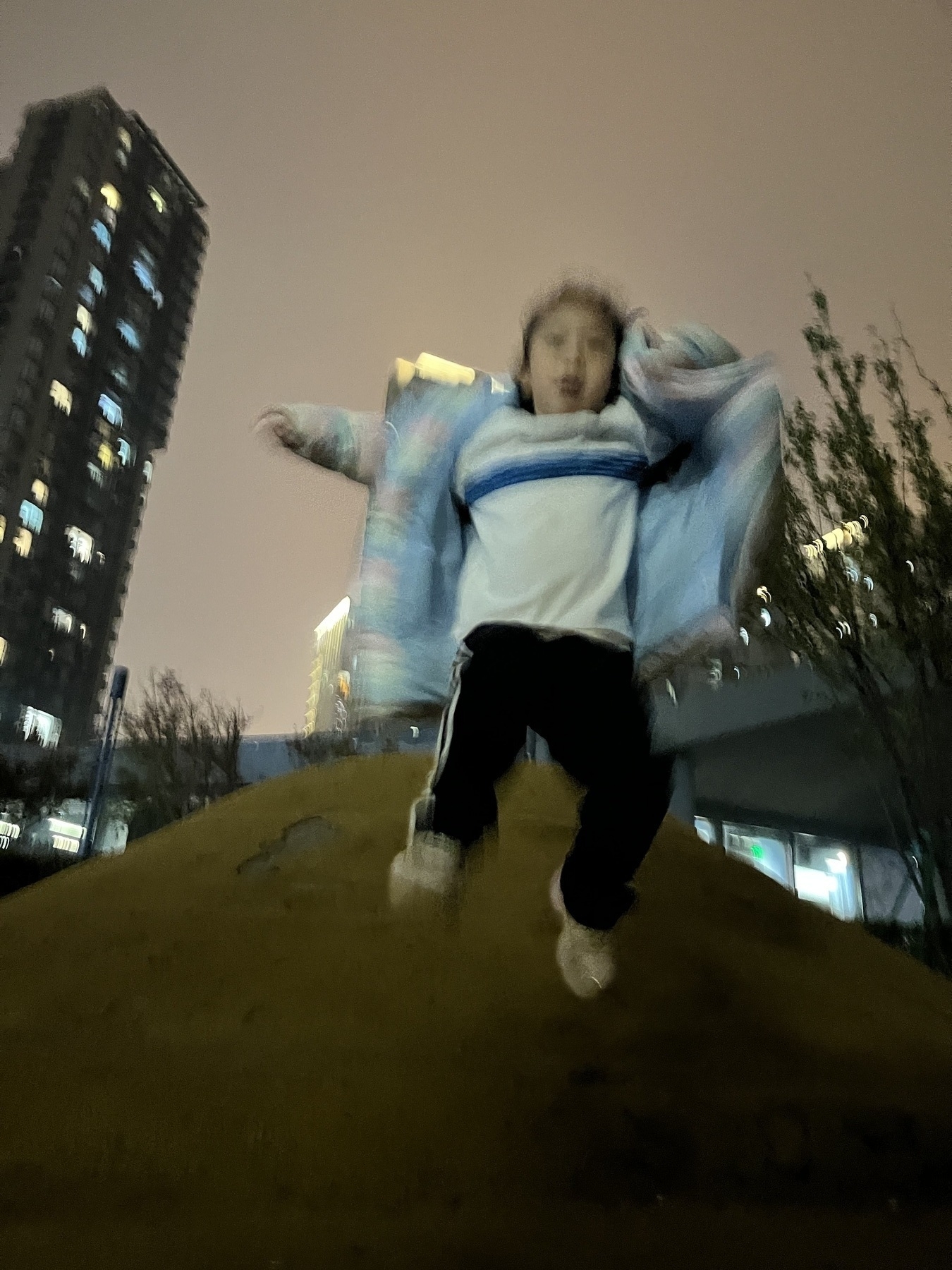 After our meal, Hamer is playing at the playground, a hill