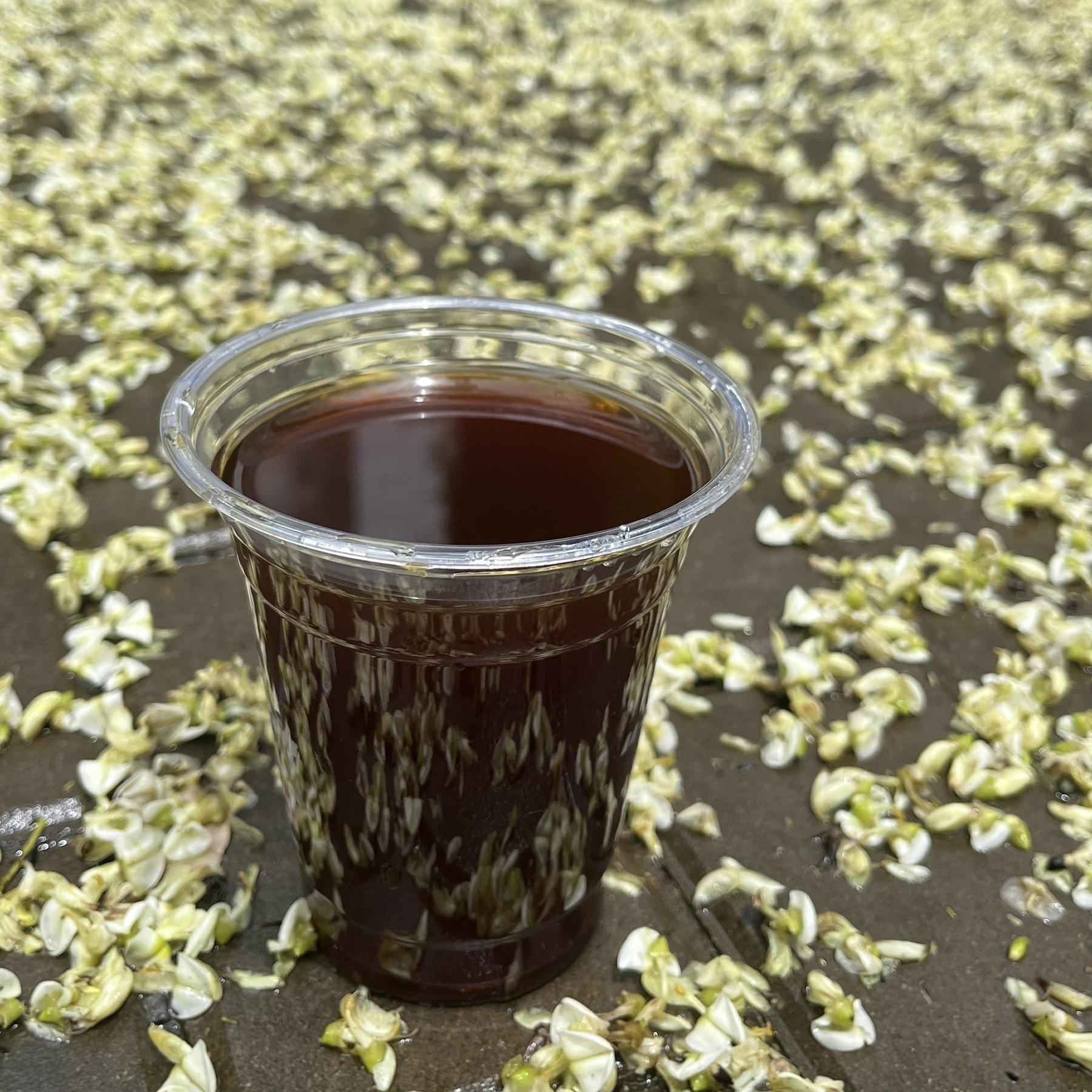 A plastic cup filled with a dark liquid is placed on a surface scattered with white and green flowers or petals.