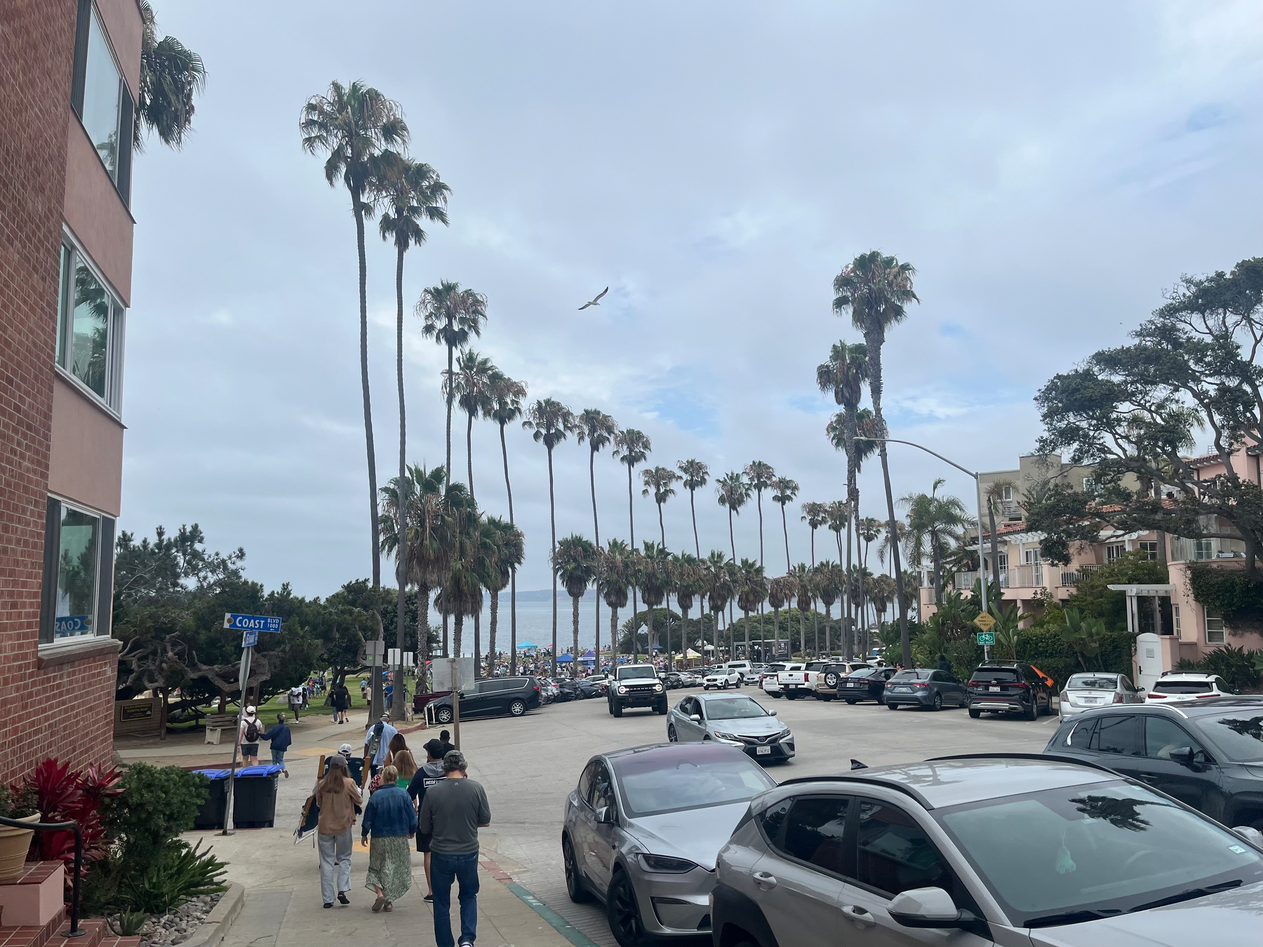 A street lined with tall palm trees leads to a coastal area with people walking and cars parked along the sides.