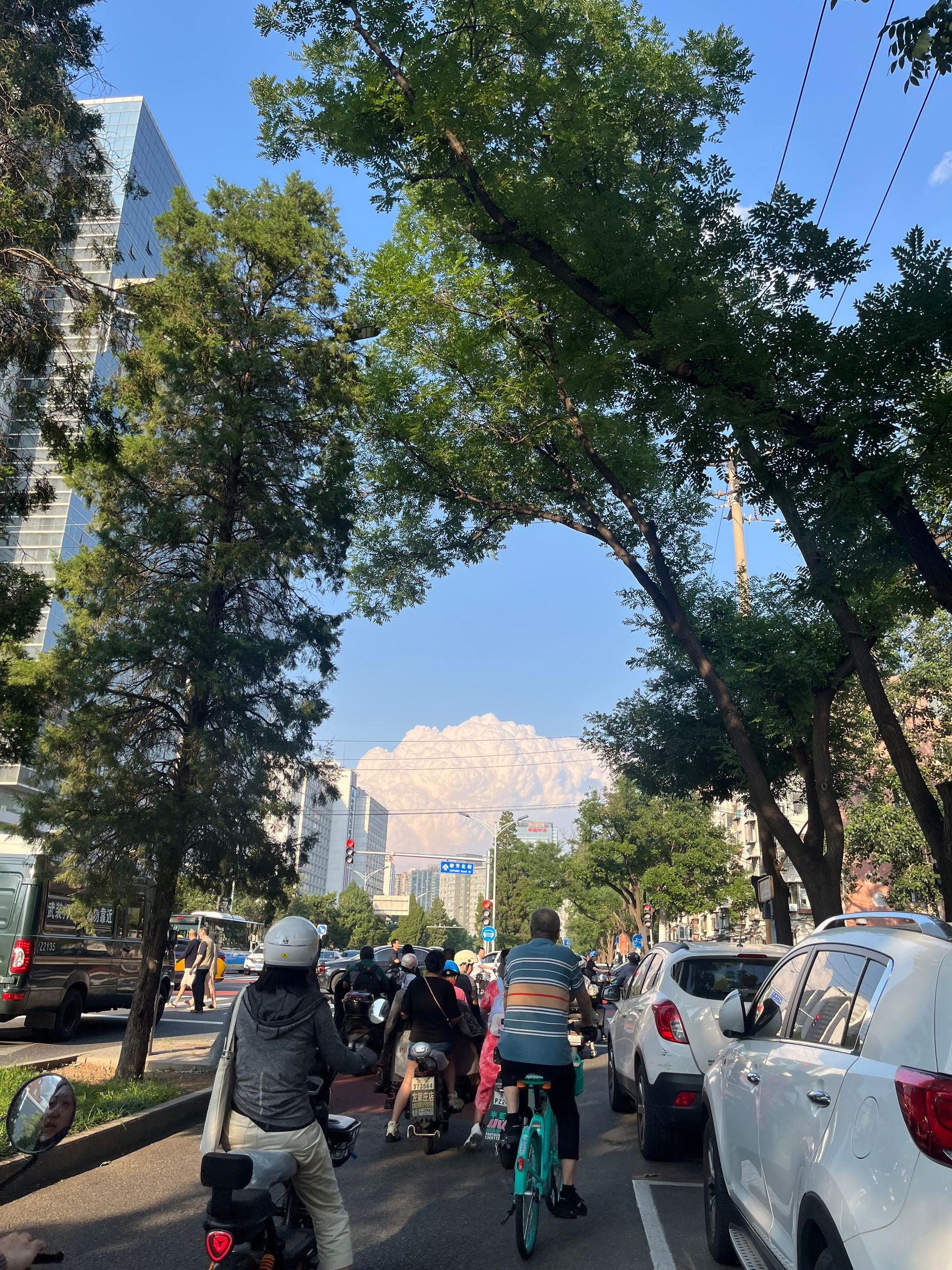 People are riding bicycles and scooters alongside cars on a tree-lined urban street with tall buildings and stunning cloud visible in the background.