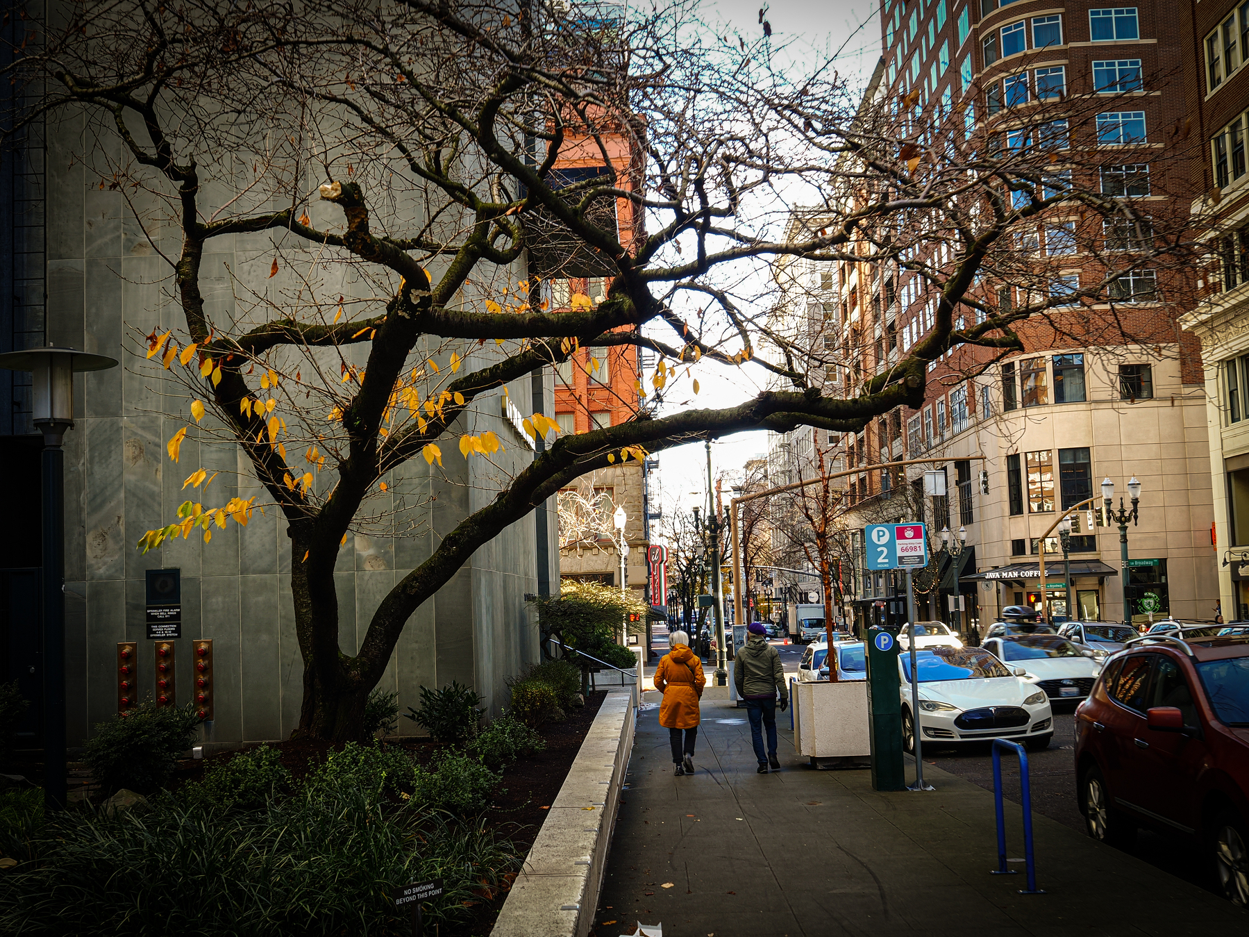 A city street scene with two people walking on the sidewalk surrounded by tall buildings, a tree with sparse yellow leaves, and parked cars.