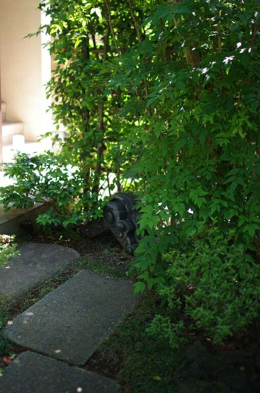 Celebrating a New Tearoom: My First Sekibiraki Experience