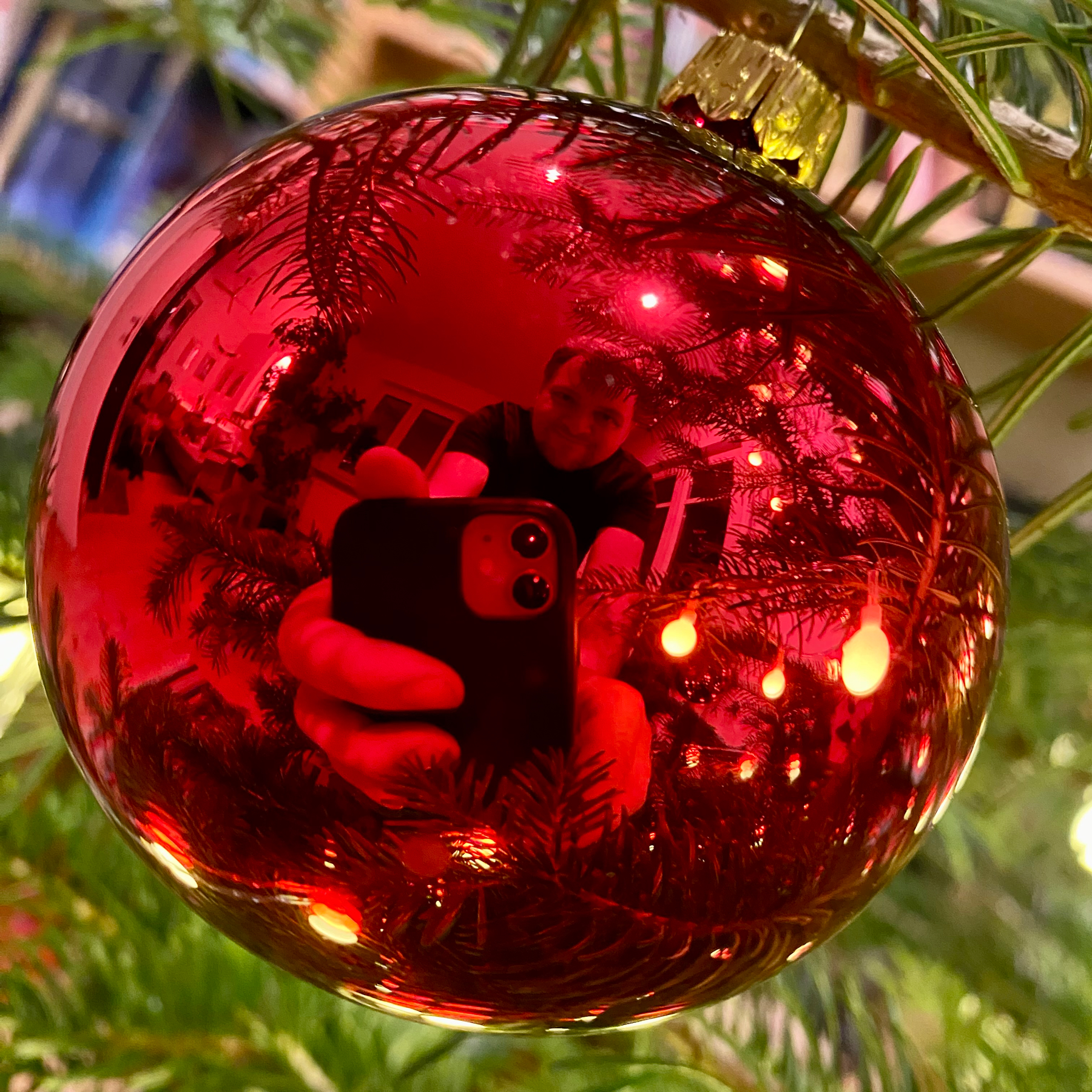 me in a Christmas tree  ball. Red and green. 