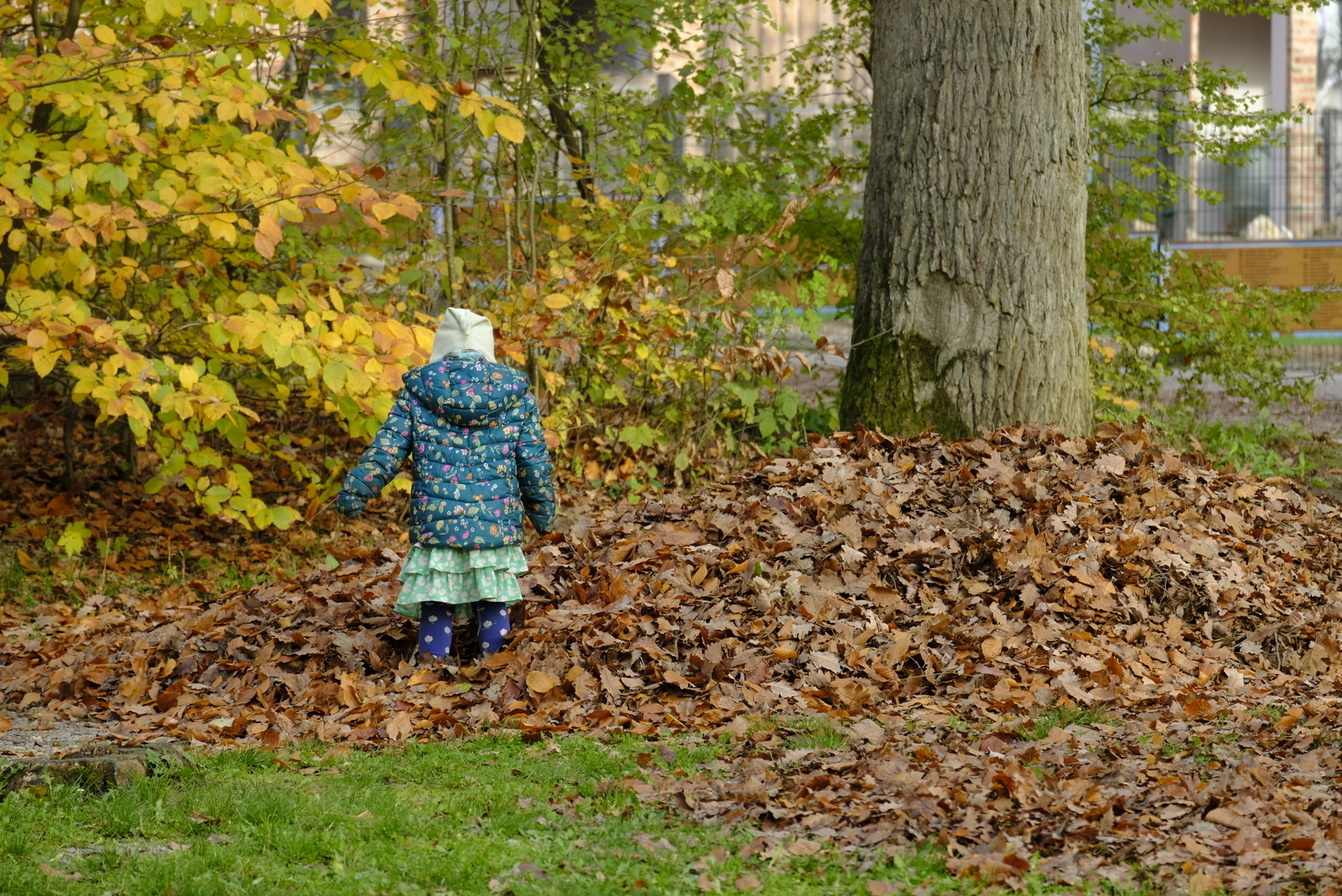 Small kid in a pile of autumn leaves