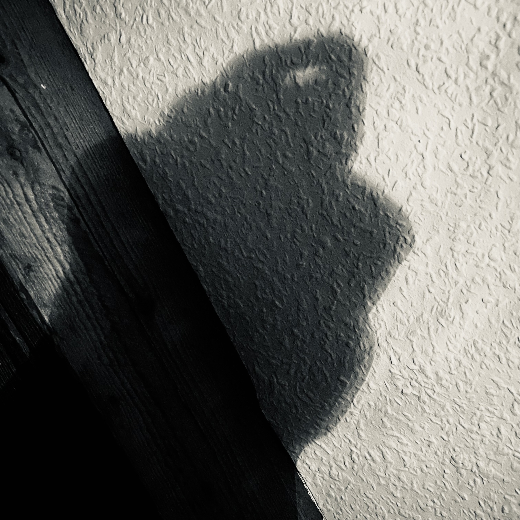 Black and white photo of a shadow in front of a white wall and a wooden beam. &10;Looks a bit like a head