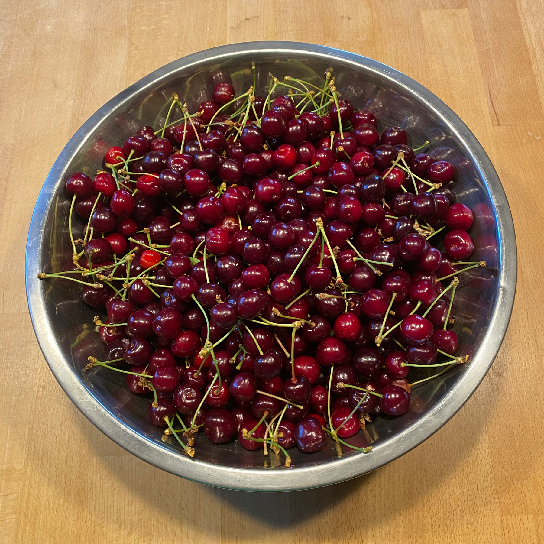 a bowl of deeply red cherries