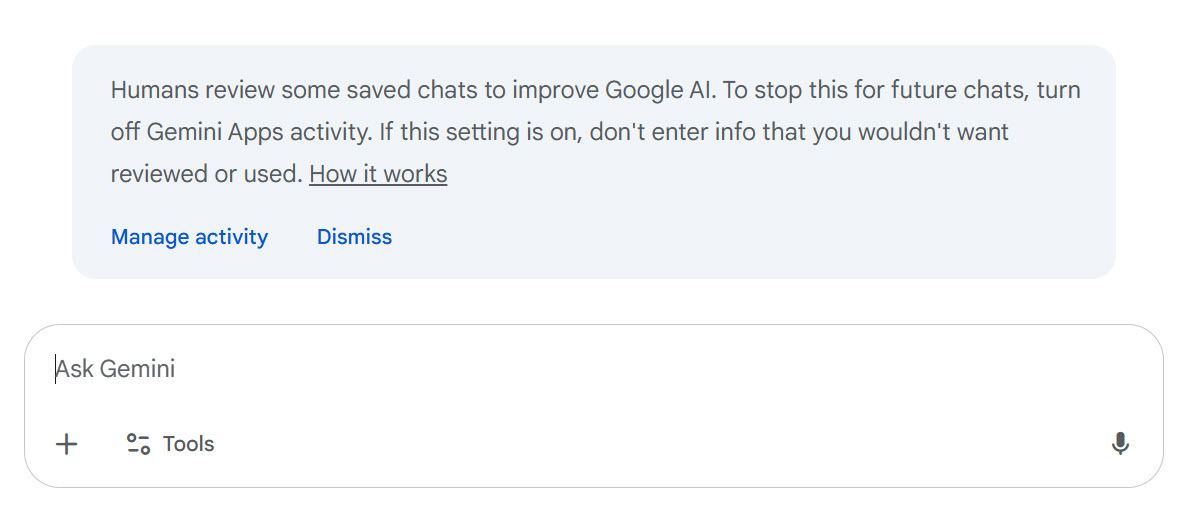 Using Google Gemini