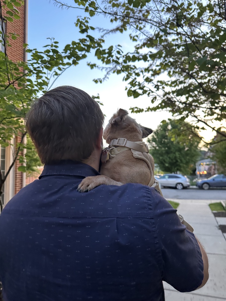 My dog Brandy being held over my shoulder looking forward as we walk toward the setting sun.