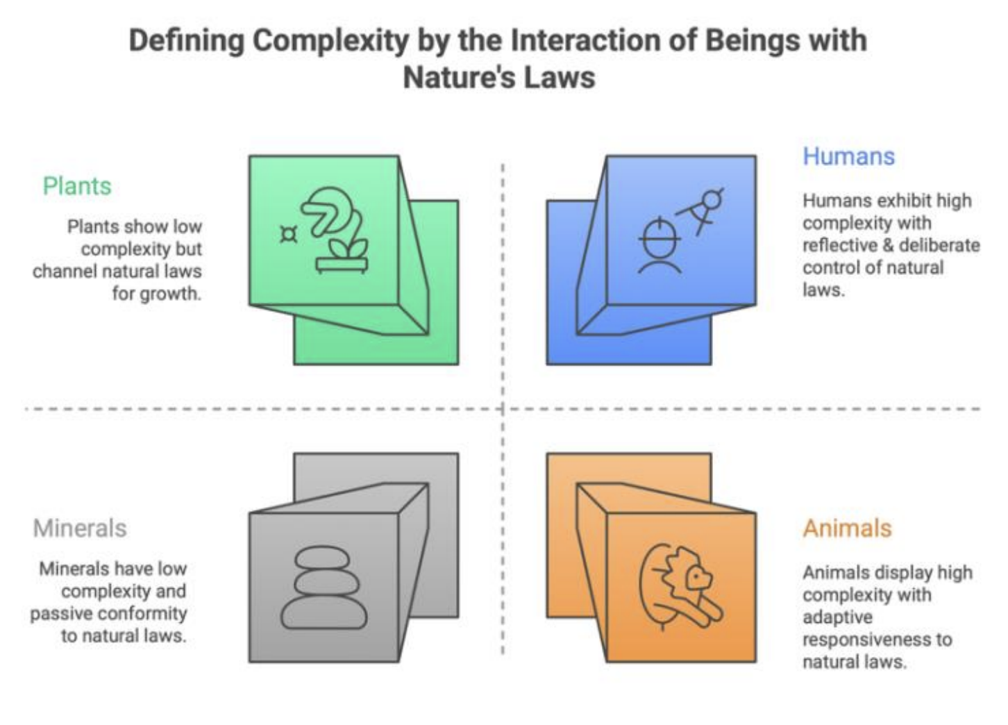 Auto-generated description: A diagram categorizes beings into four groups—plants, minerals, humans, and animals—illustrating their complexity and interaction with natural laws.