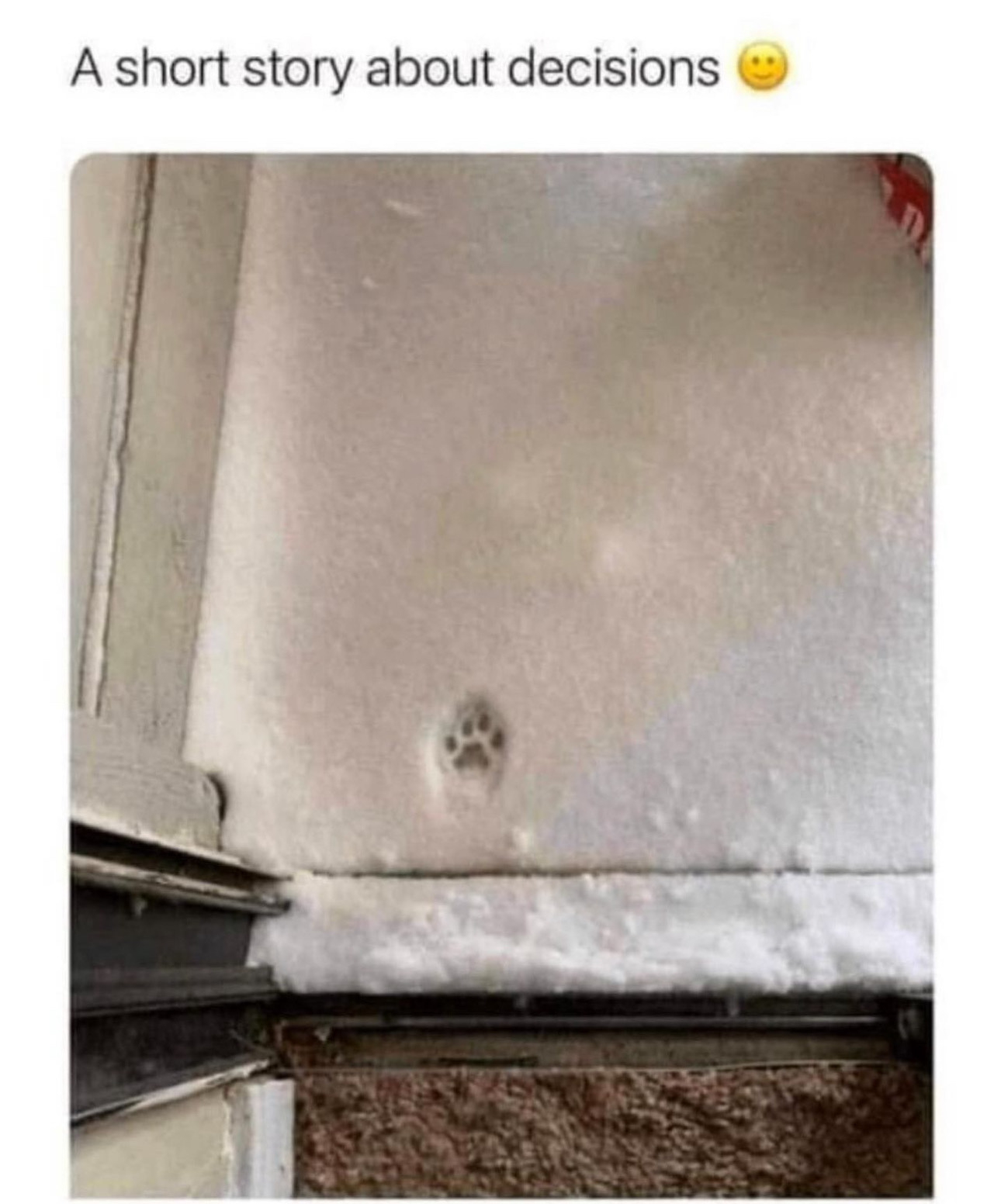 Text reads: "A short story about decisions 🙂"&10;There is a picture of an open doorway with snow outside and a single pawprint in the snow.