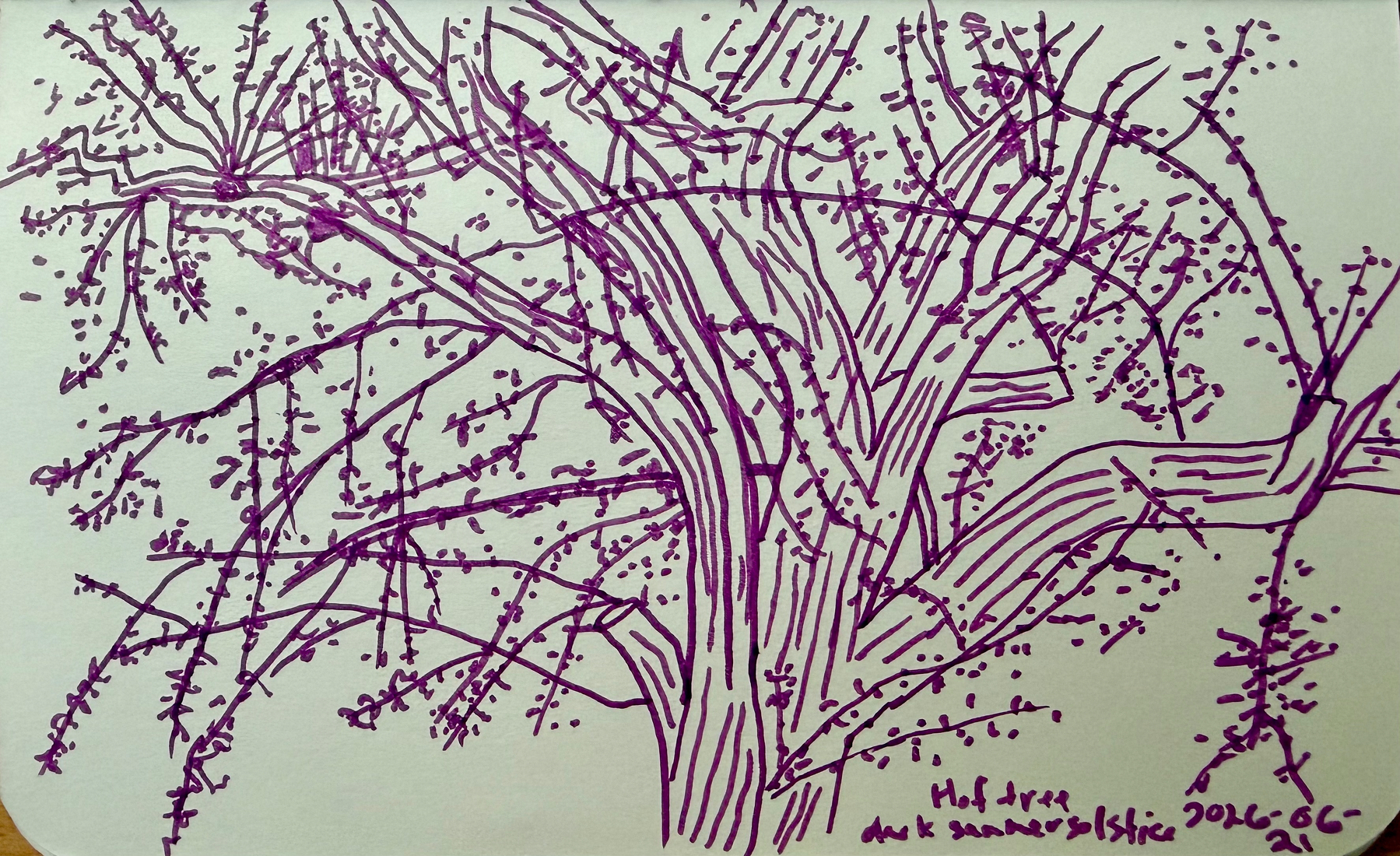 A purple ink drawing of a tree with numerous small branches and dots representing small leaves is depicted on a plain background.
