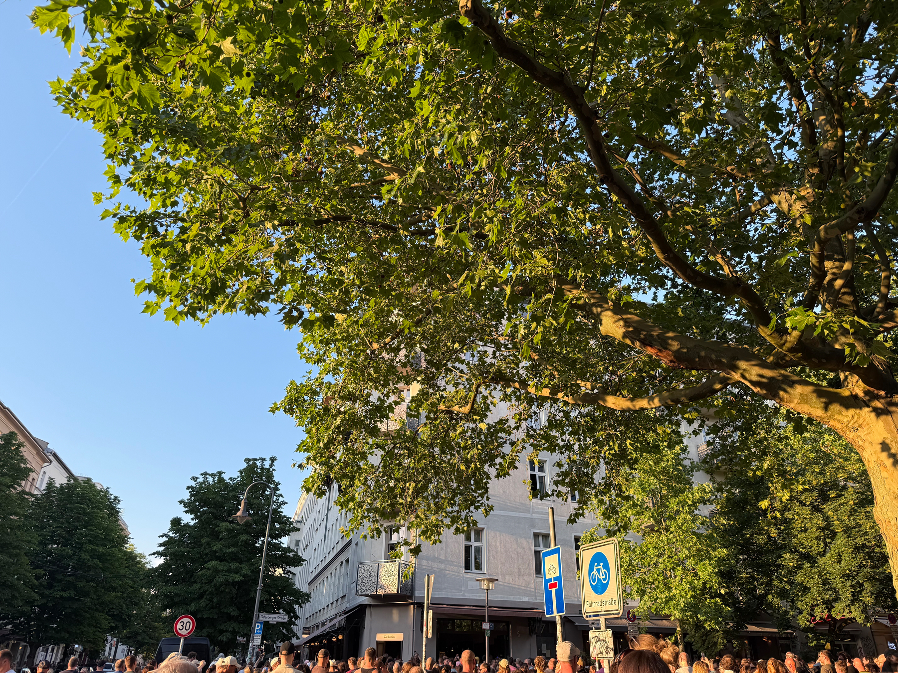 The top if the heads of many people celebrating and dancing to a DJ set on Oderberger Str on a sunny day with a large leafy Platane tree in the foreground, buildings in the background, and several traffic signs visible.