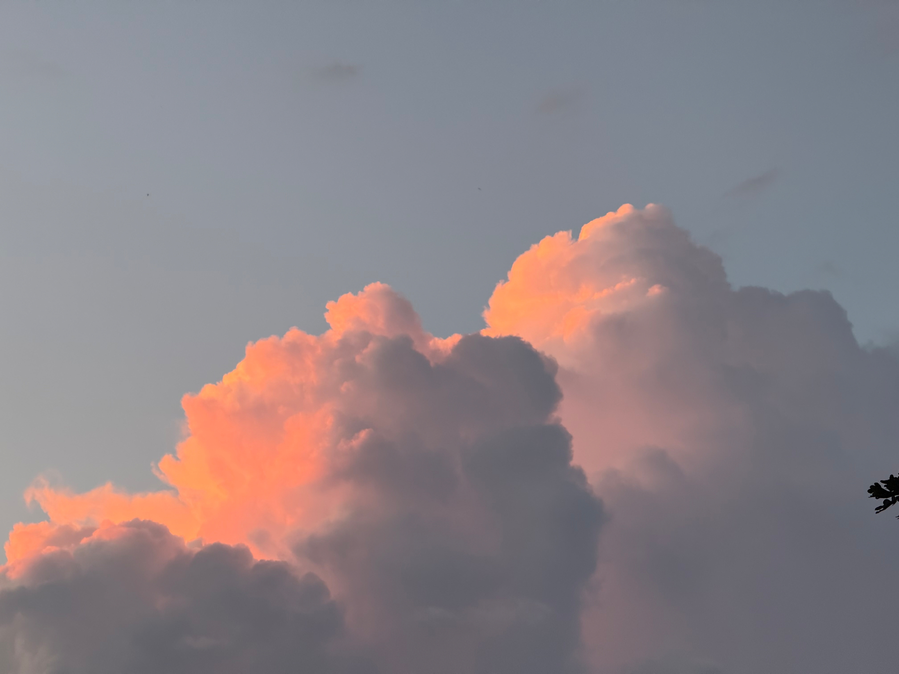 Fluffy clouds are illuminated with a soft pink and orange glow against a pale sky.