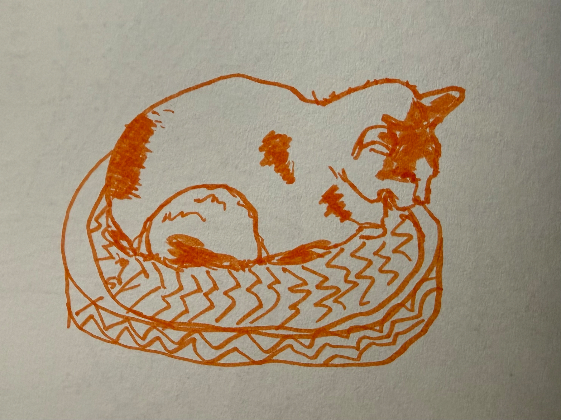 An orange line drawing of a white cat with dark patches curled up and resting on a patterned cushion.