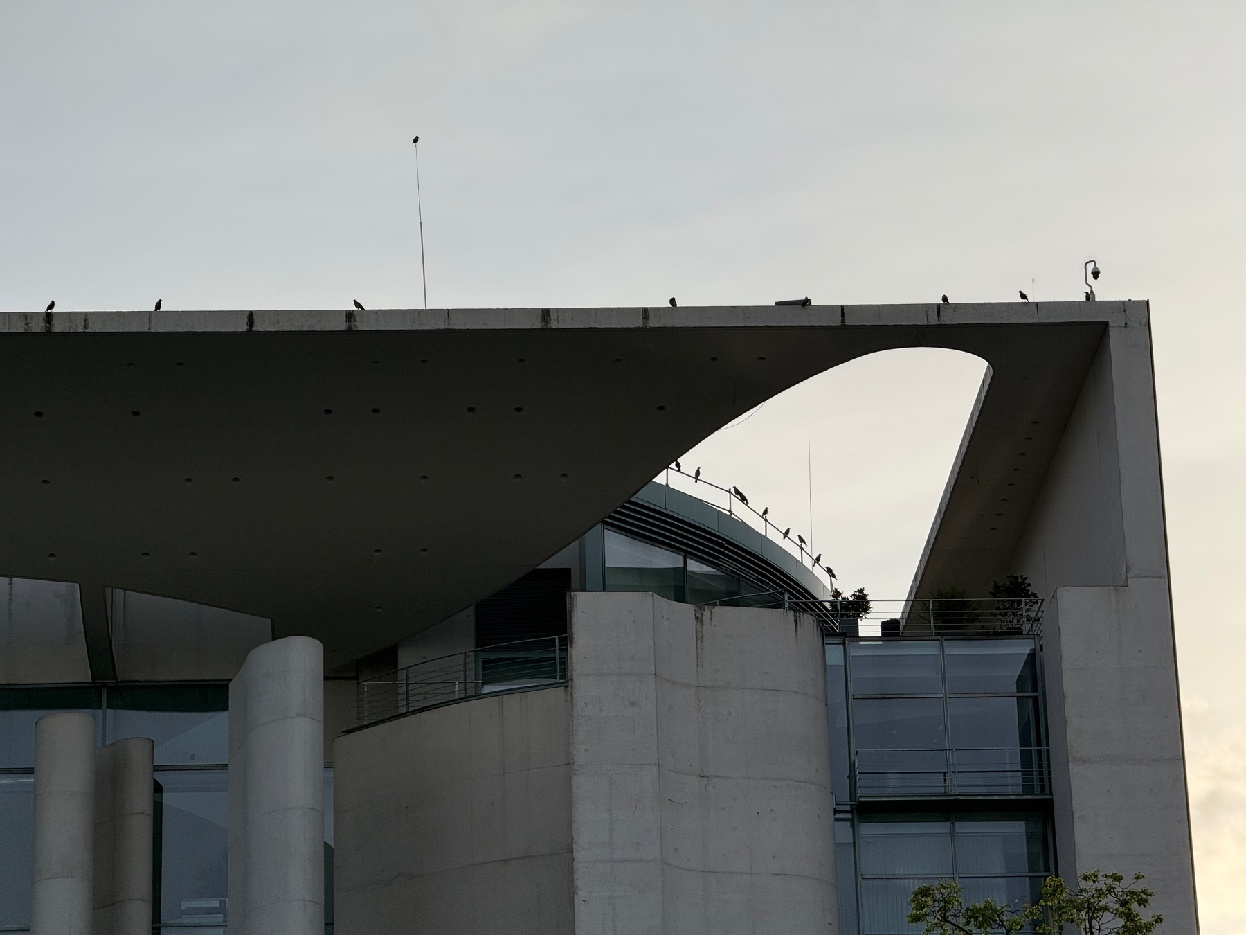 The modern architectural building of the German Chancellor’s office features many silhouetted crows on the roof of a large concrete frame with curved and straight elements, glass windows, and a rooftop terrace.
