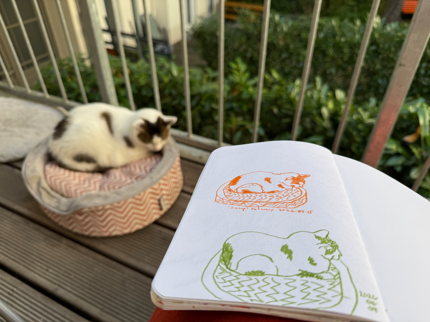 A cat is resting on a pet bed next to a balcony railing, while a sketchbook in foreground shows two drawings of the cat curled up on a patterned cushion.