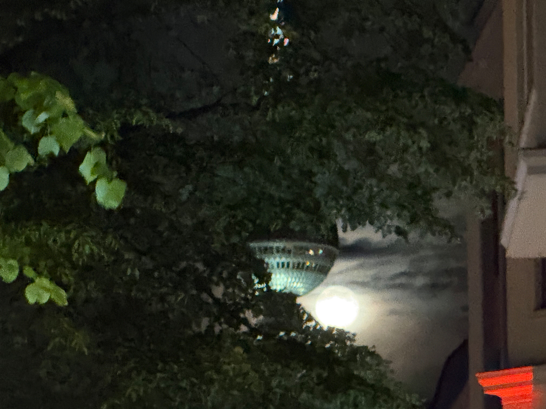 The Moon a night after full moon glows right next to the Berlin tv tower sphere which is zoomed in tight behind tree leaves.