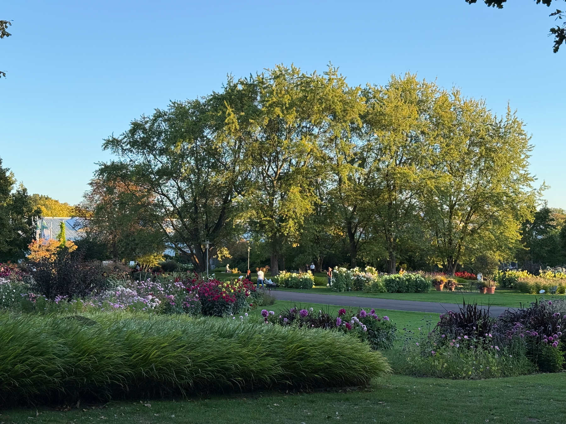 A well-maintained garden with various colorful flowers and large trees under a clear blue sky.