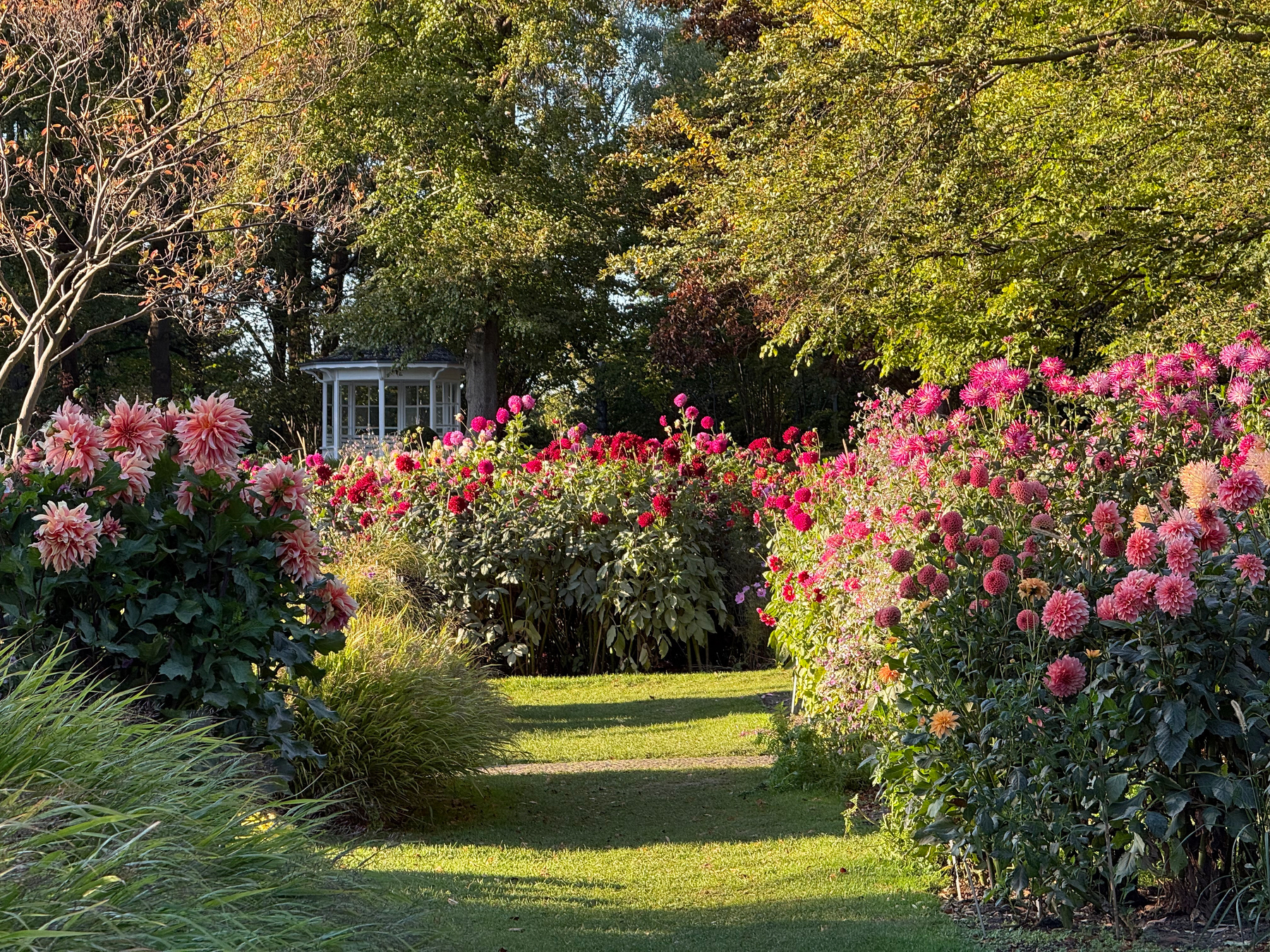 A sunlit garden path is surrounded by vibrant pink and red flowers with a white gazebo visible in the background amidst tall trees.
