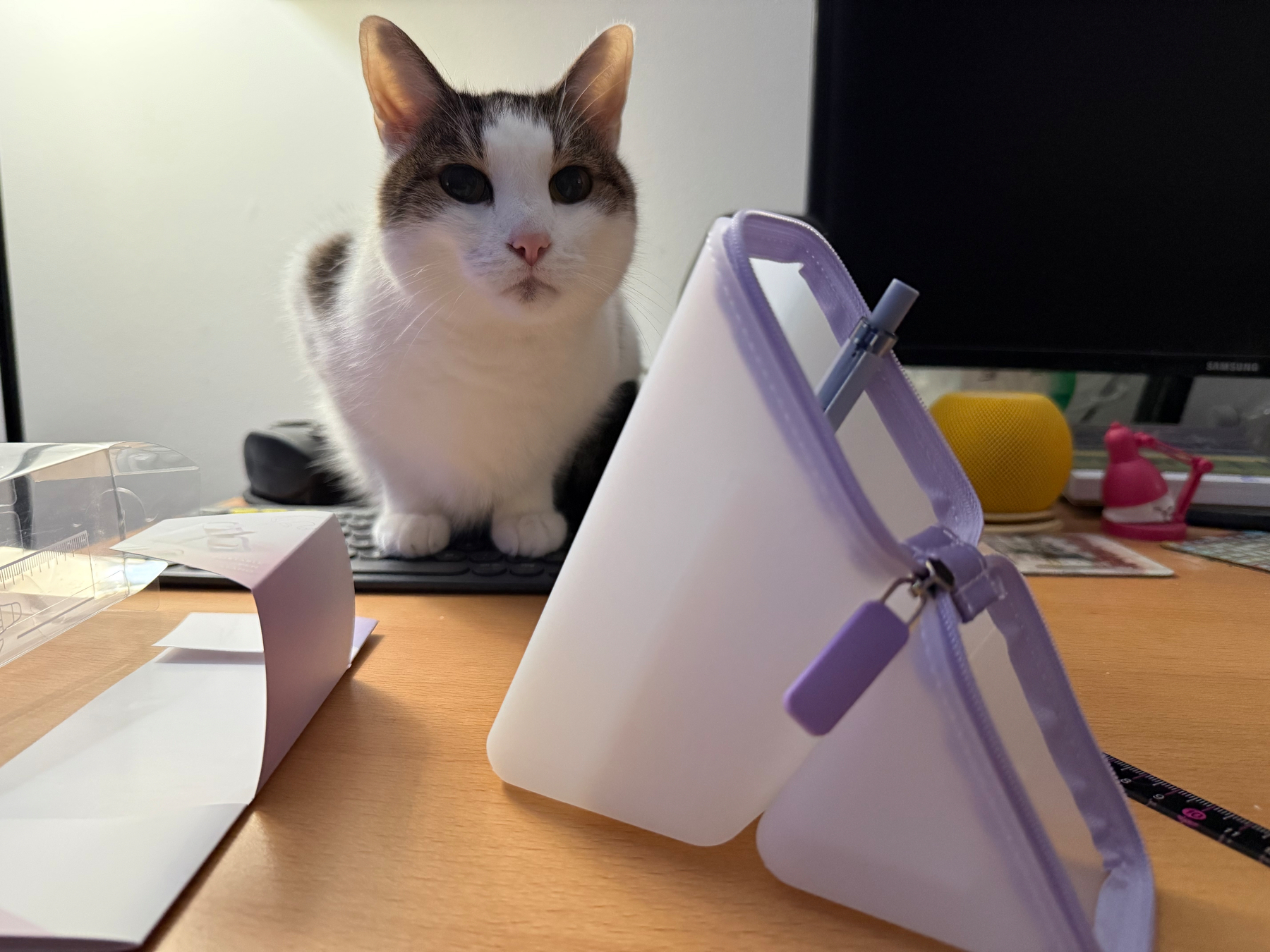 A white cat with brown flecks, Champi, sits on a desk next to a propped-up translucent silicone folding pencil case with various office items around.