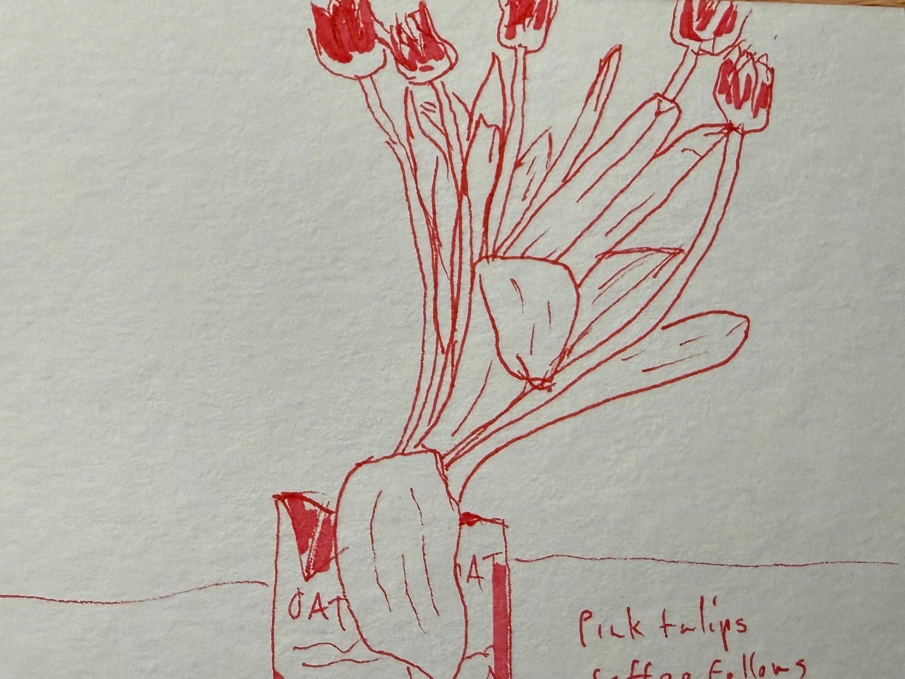 A red line drawing depicts a bouquet of tulips in an oat drink container, accompanied by handwritten text pink tulips Coffee Fellows