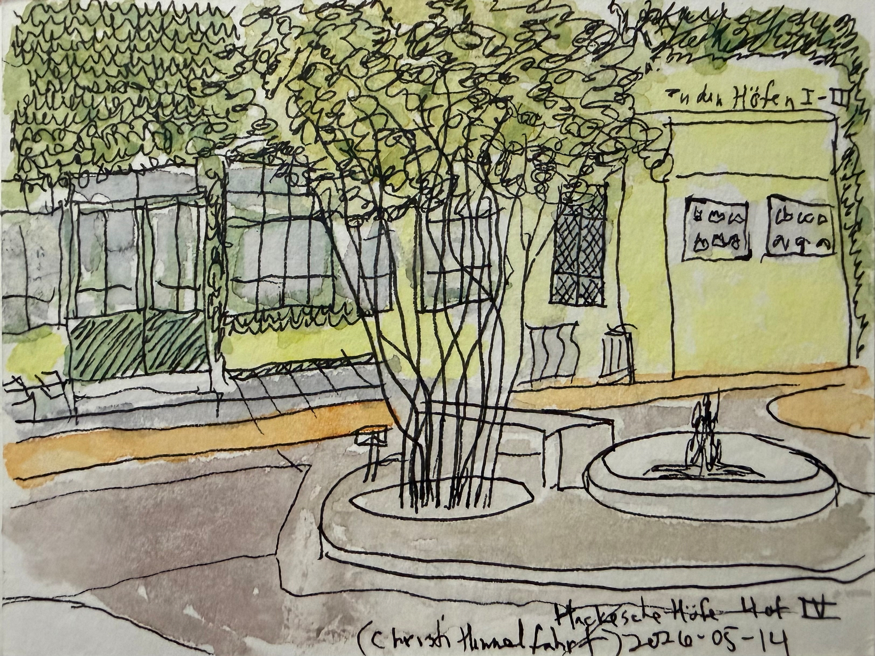 An ink and watercolor sketch depicts a small tree and low fountain in the middle of a courtyard in front of a building shopfront with large windows and ivy.