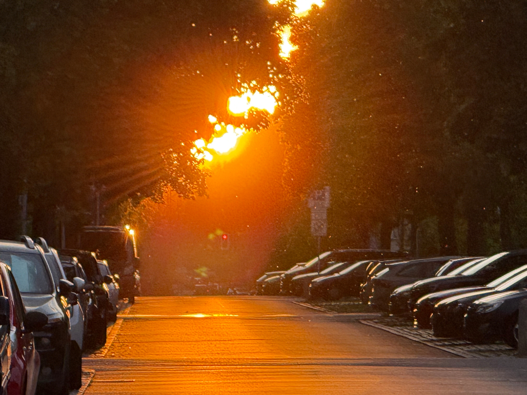 A sunlit street is flanked by parked cars, with sunlight streaming through the trees and casting a warm glow.
