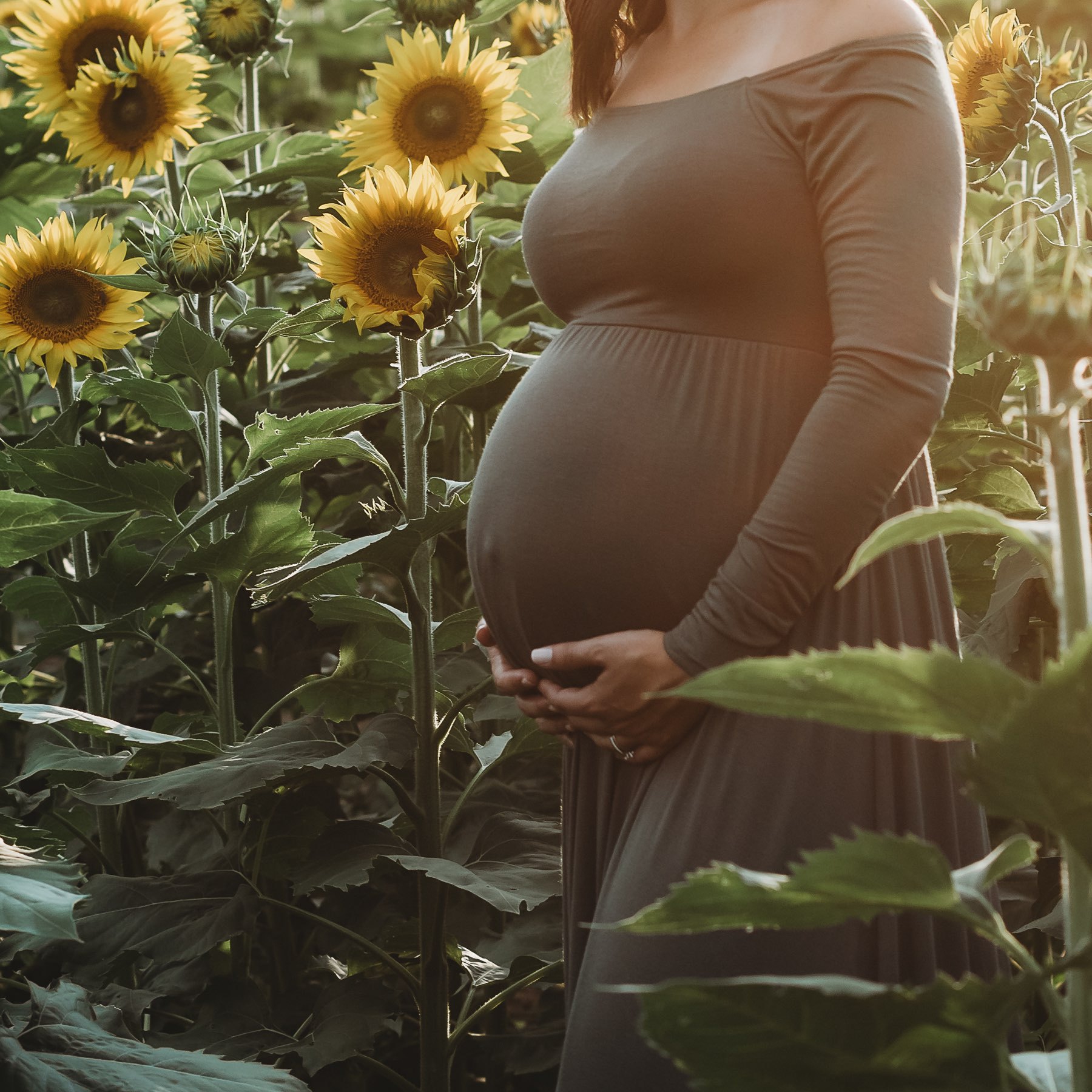 pregant woman standing among sunflowers