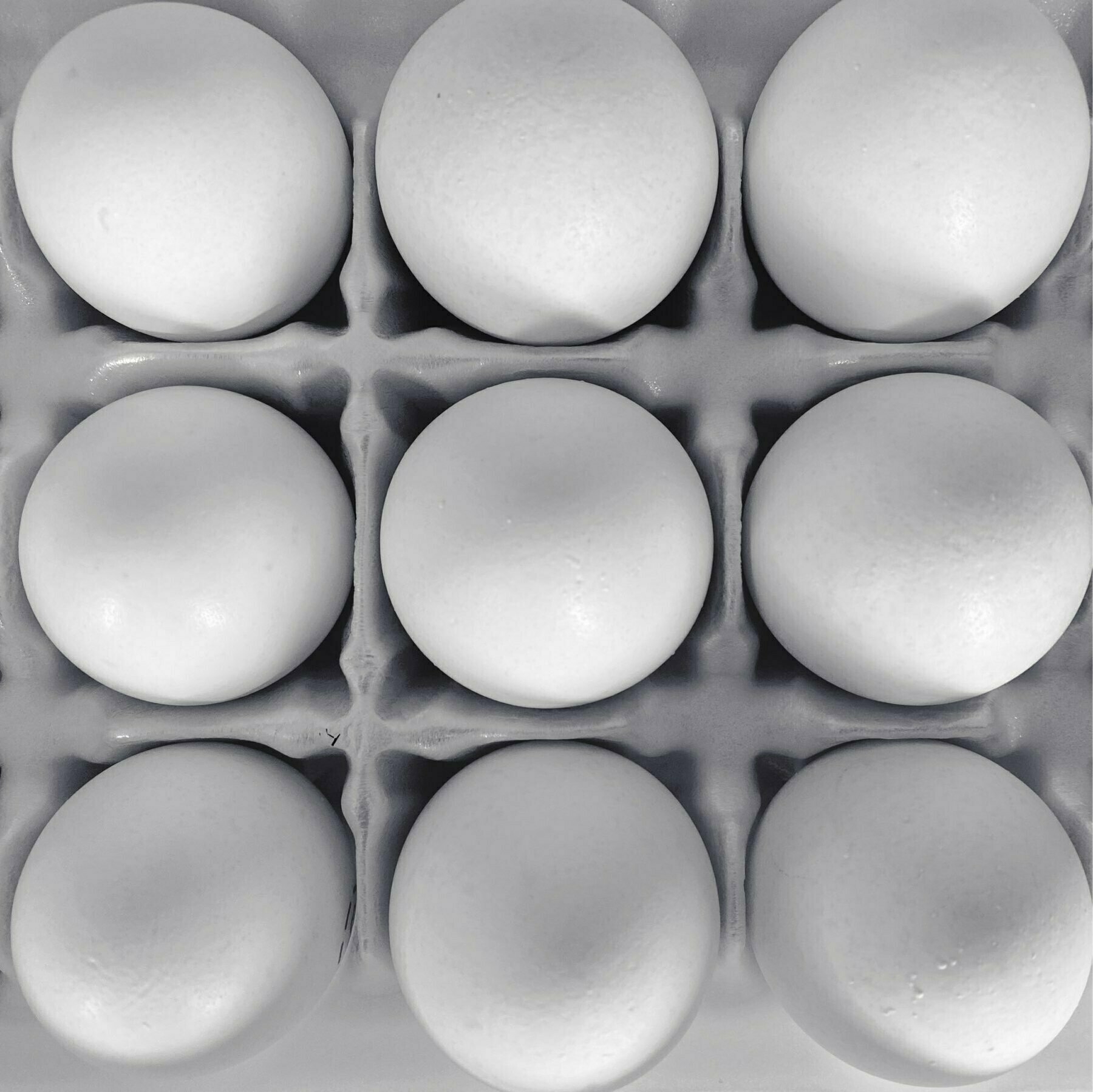 a top-down view of the inside of an egg carton