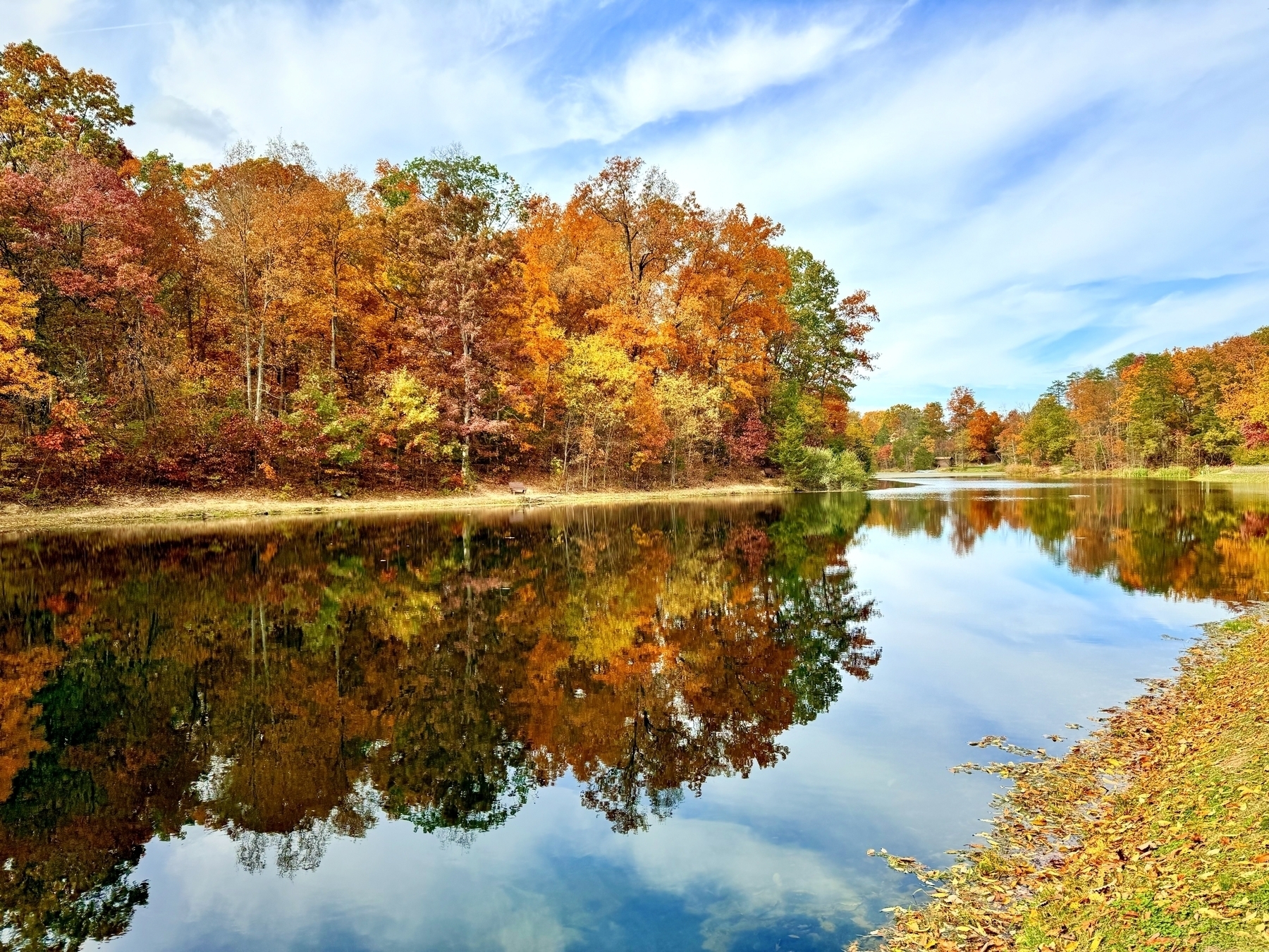 Colorful leaves reflecting in a lake