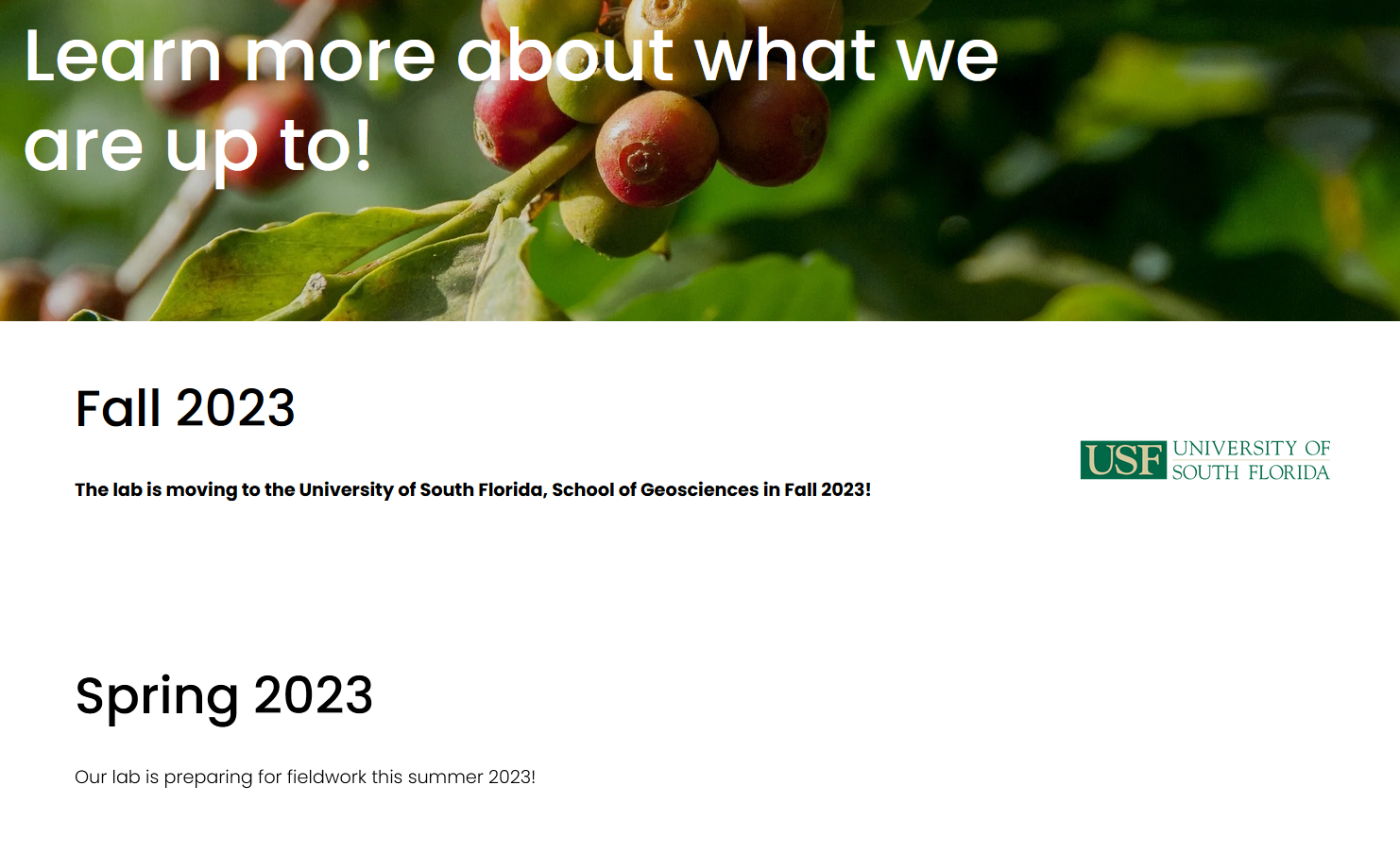 News section after refresh.